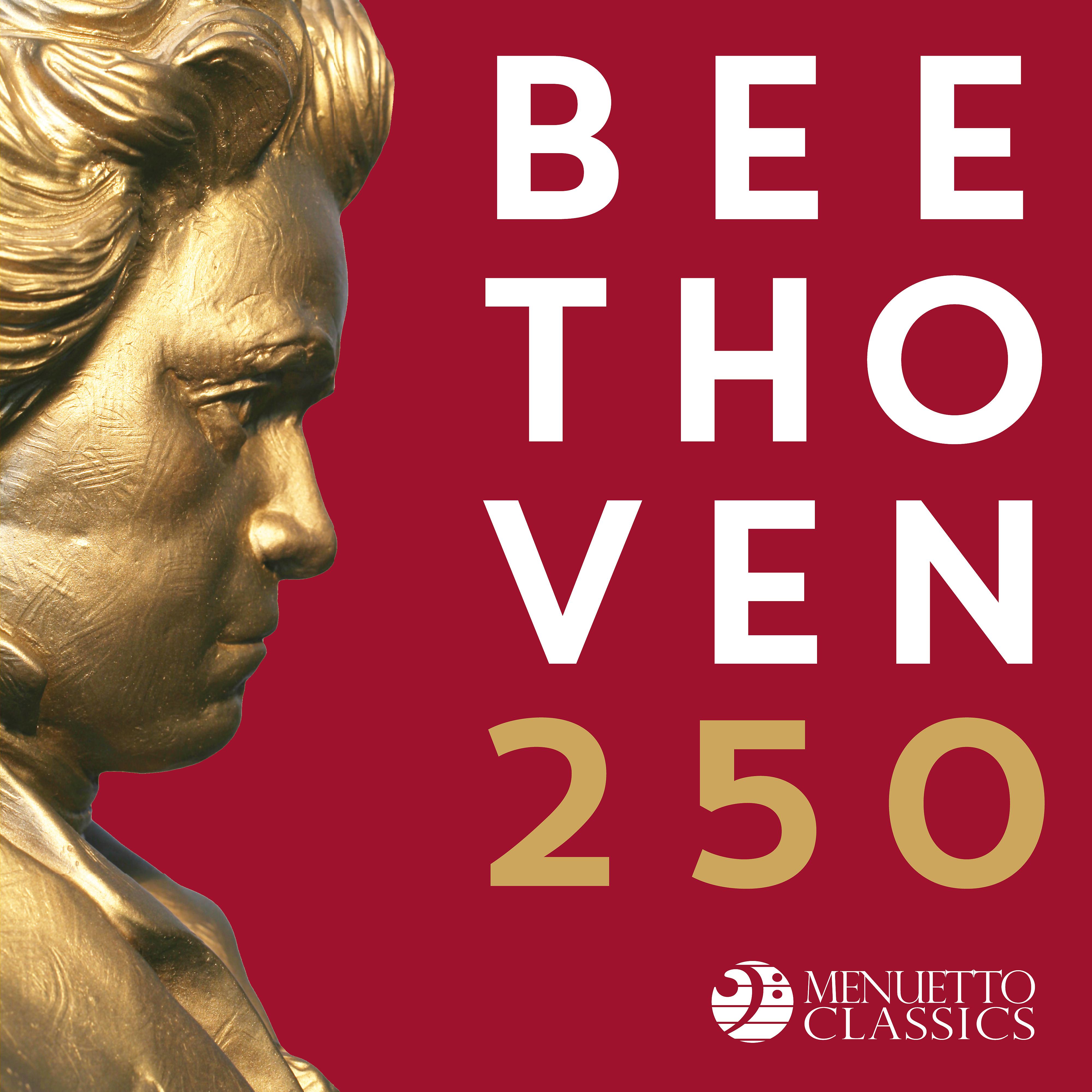 Постер альбома Beethoven 250
