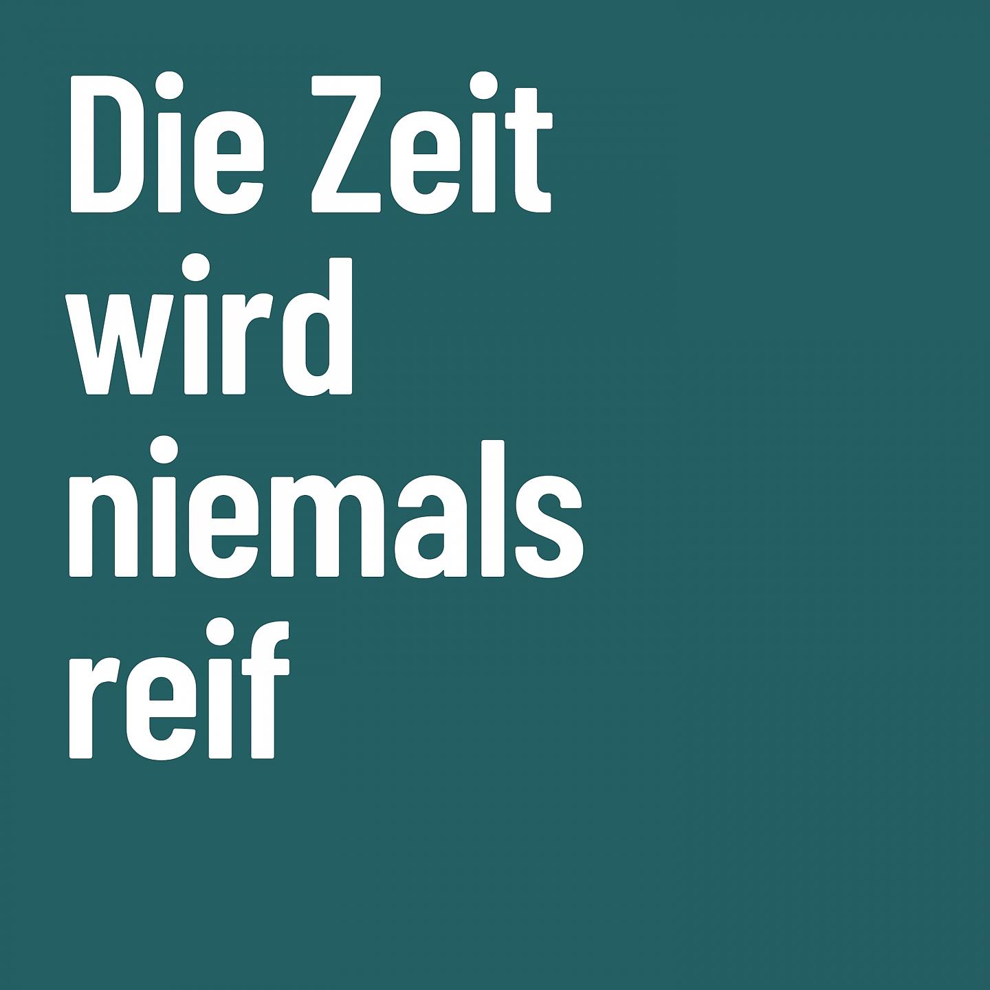 Постер альбома Die Zeit wird niemals reif