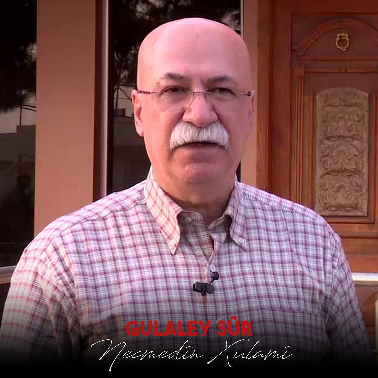 Necmedîn Xulamî - Gelê Ciwan