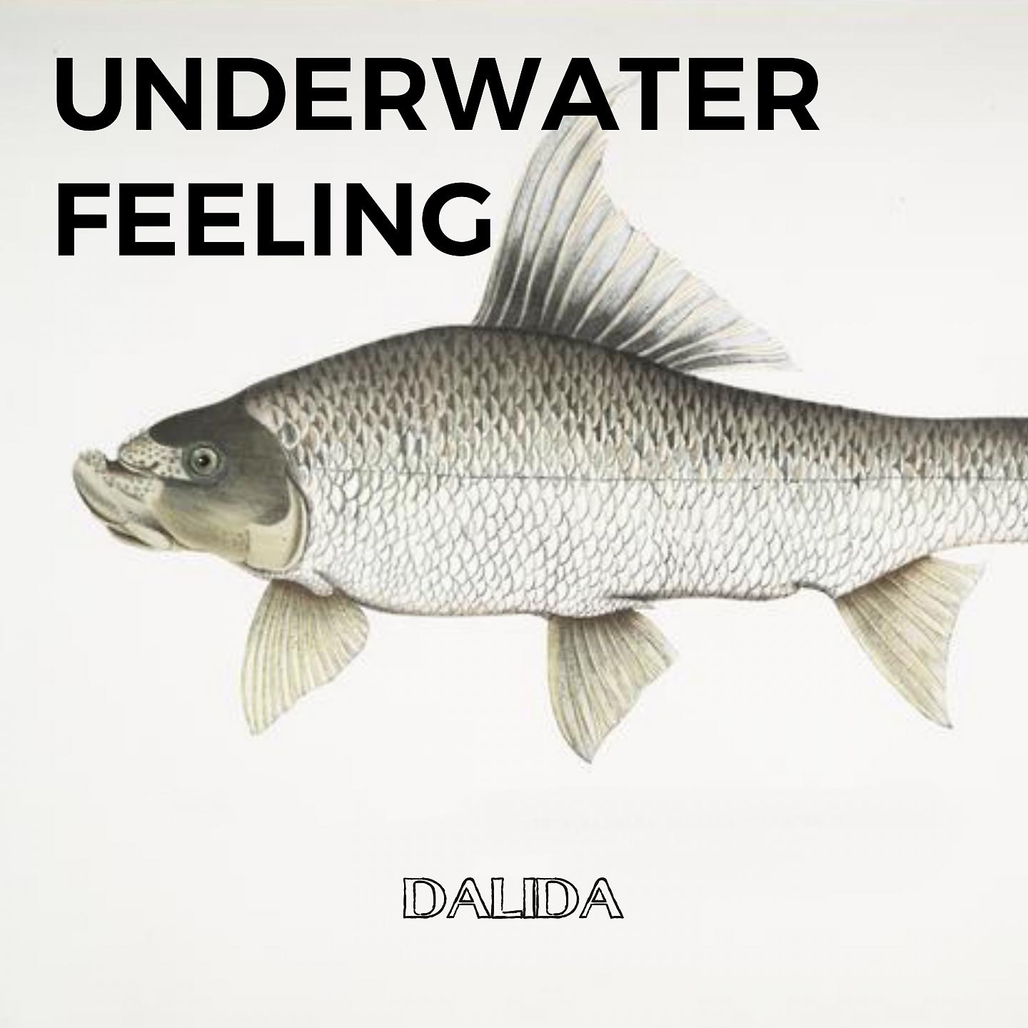 Постер альбома Underwater Feeling