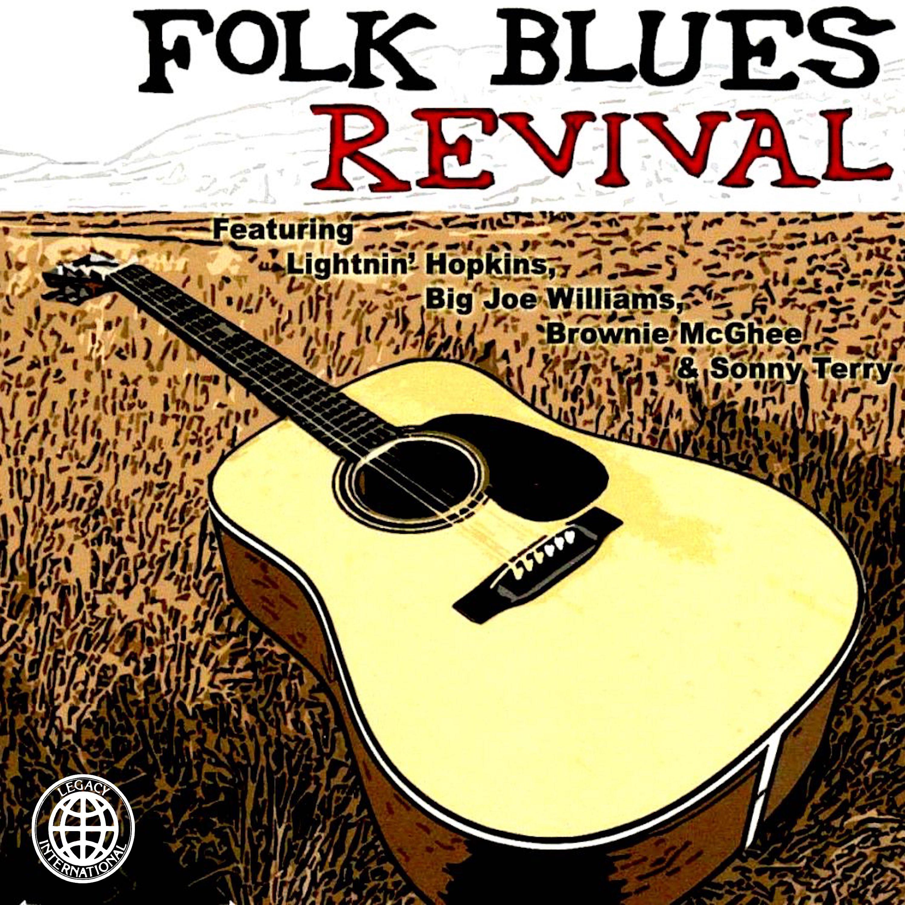 Постер альбома Folk Blues Revival