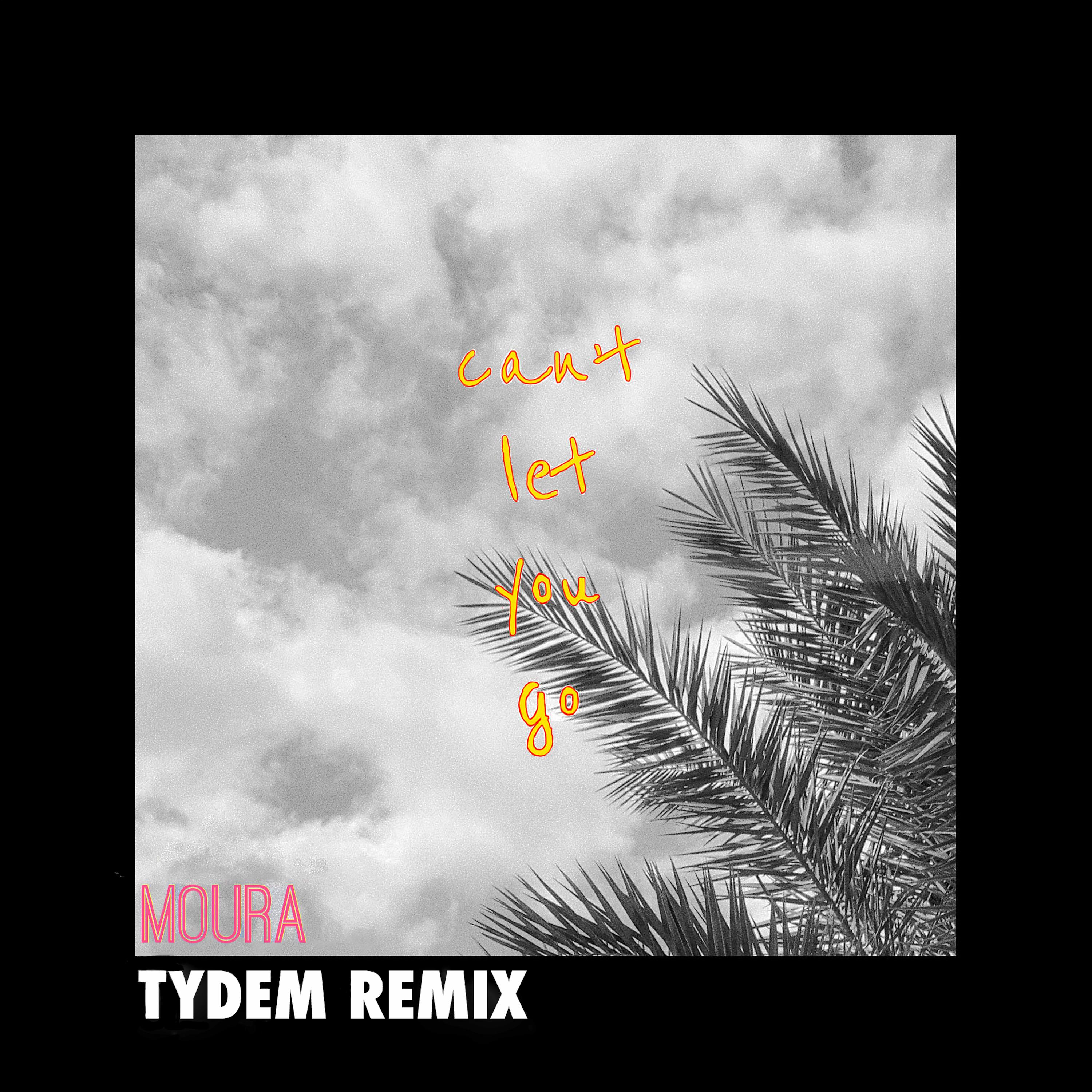 Постер альбома Can´t Let You Go (Tydem Remix)
