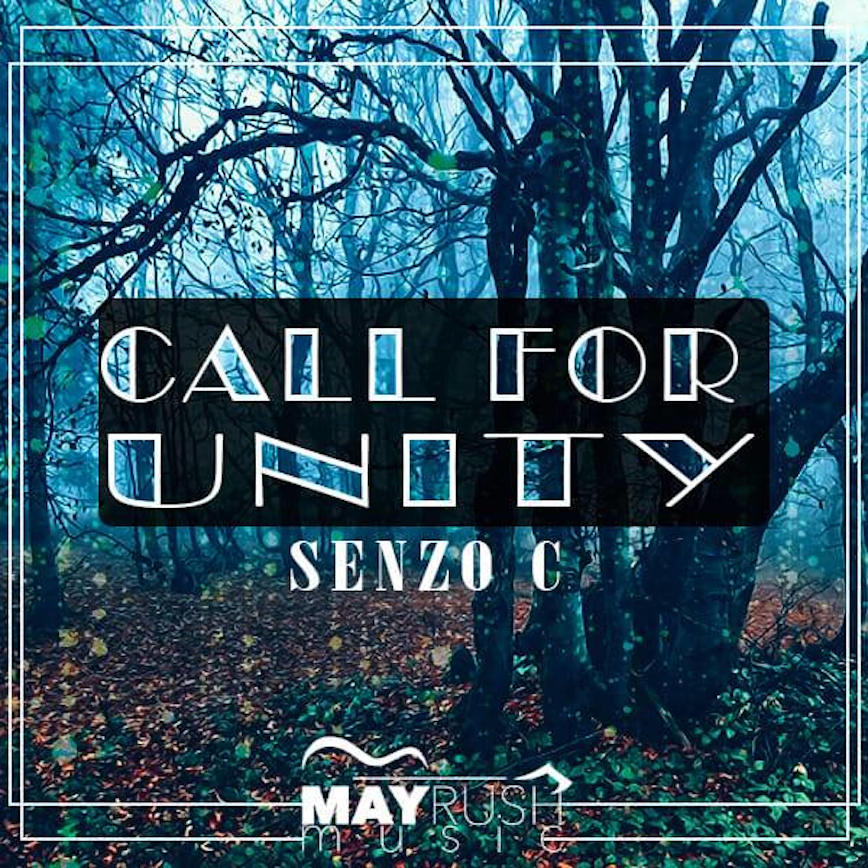 Senzo C - Call For Unity
