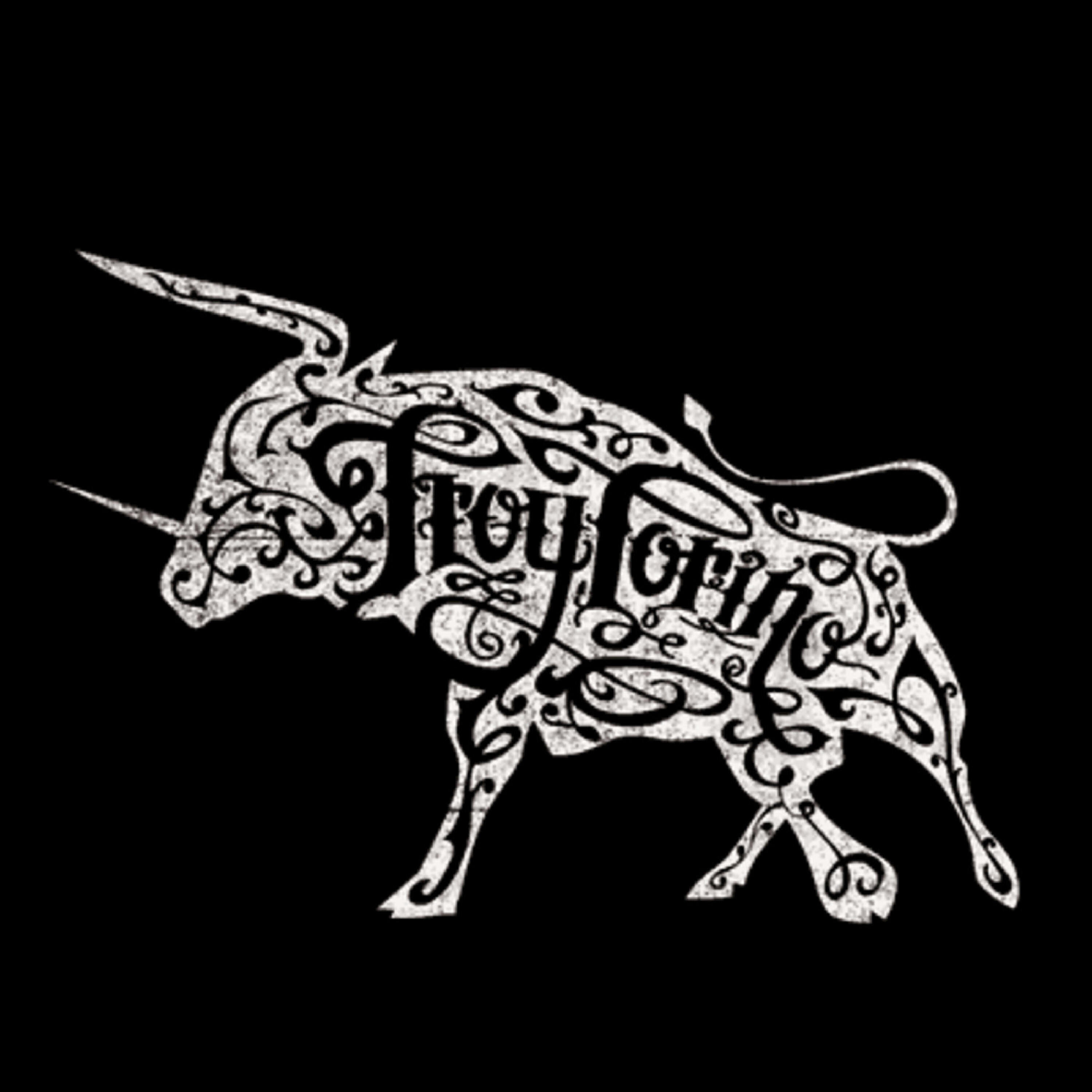 Troy Torino - Fwo