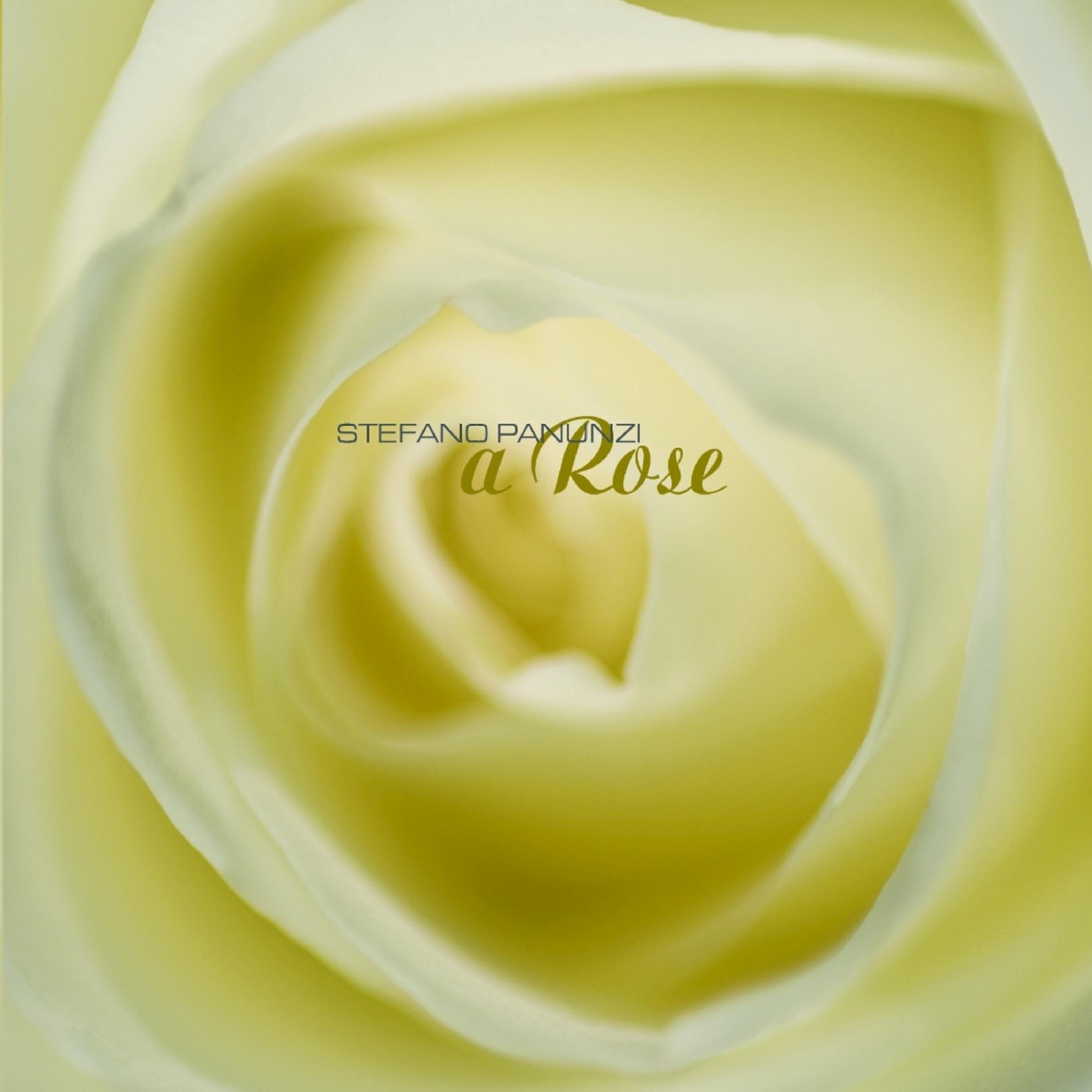 Постер альбома A Rose