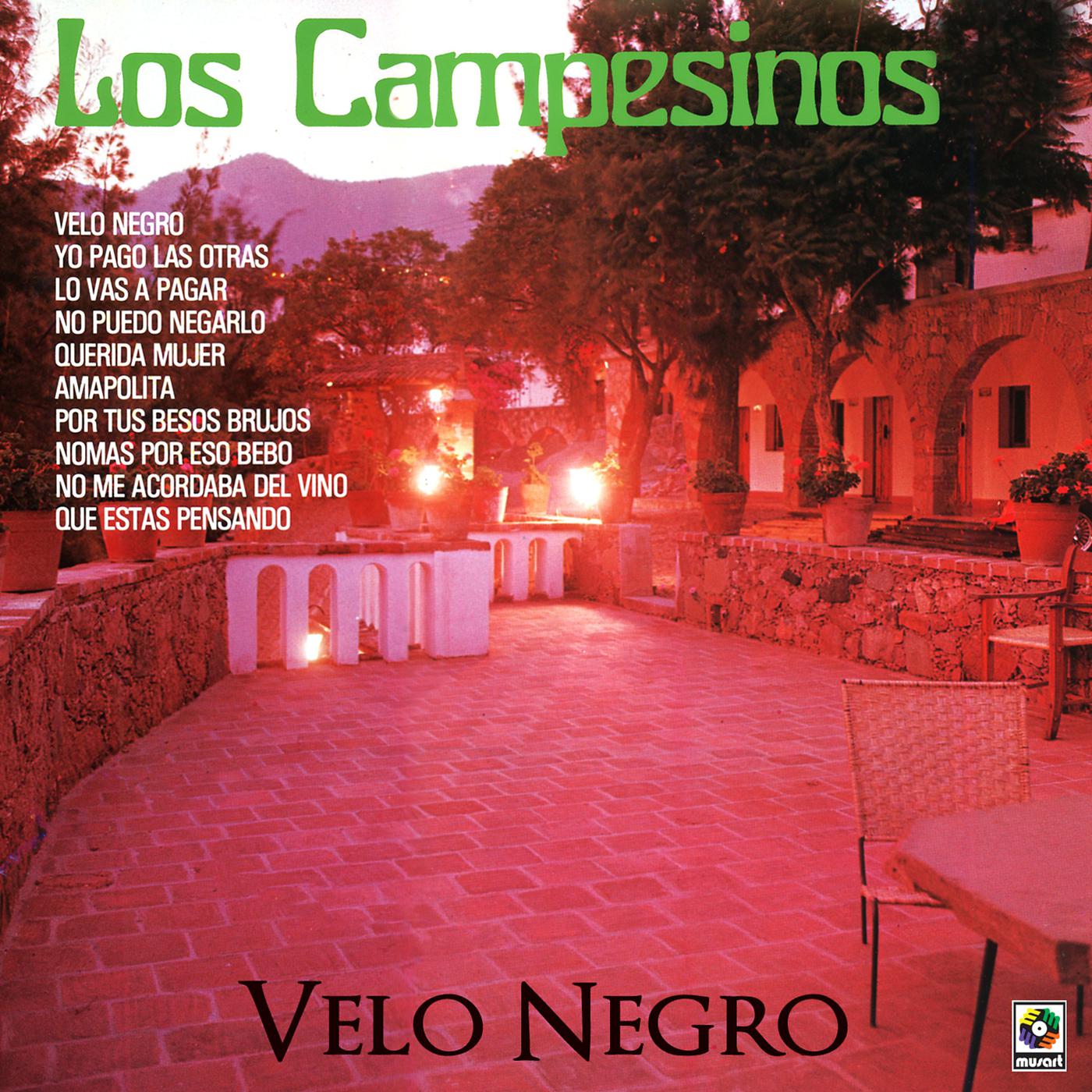 Постер альбома Velo Negro