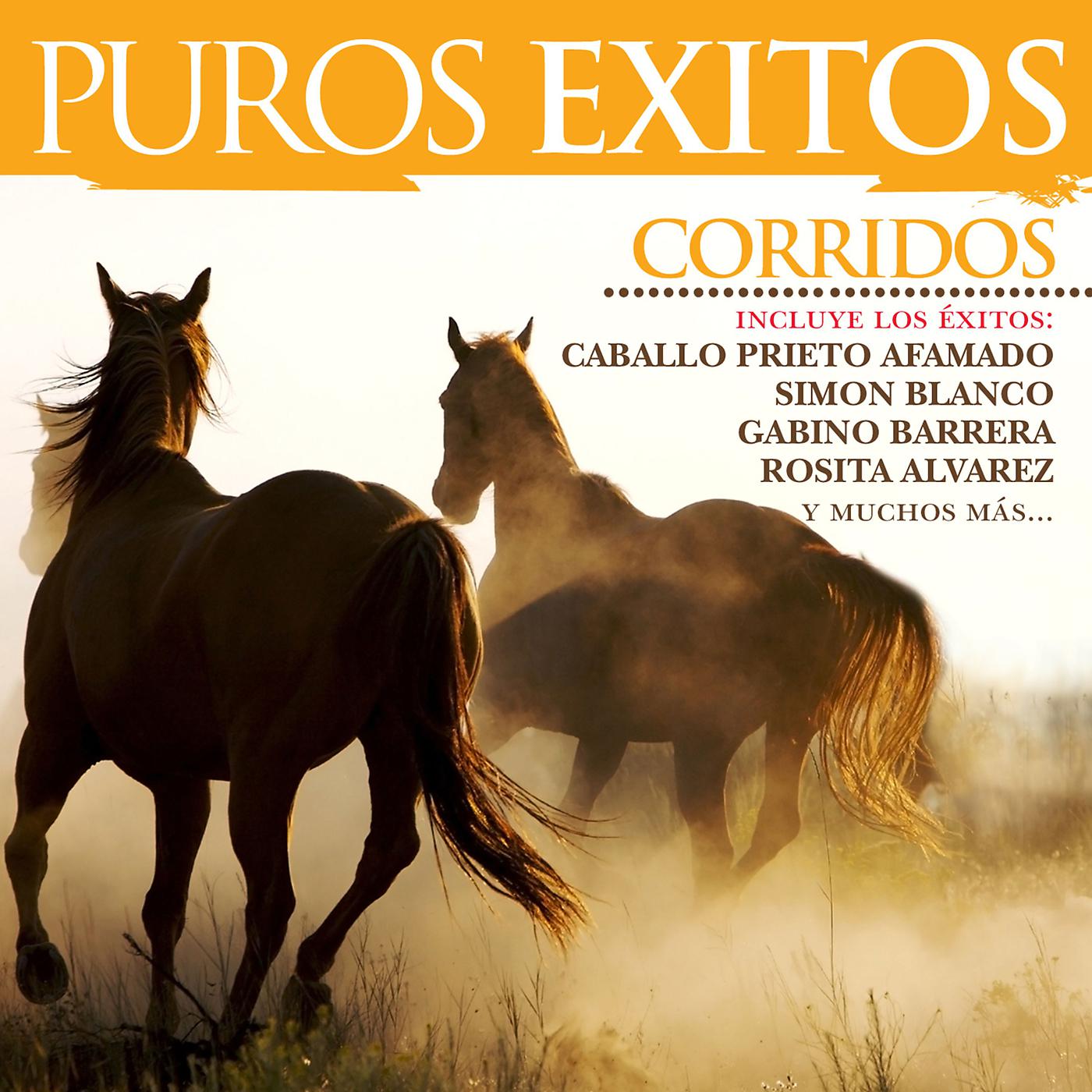 Постер альбома Puros Éxitos: Corridos
