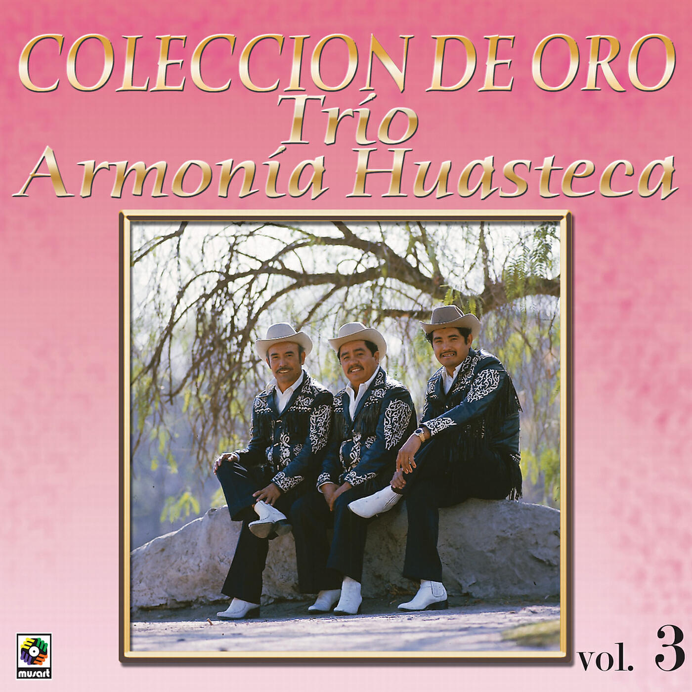 Trio Armonia Huastecá - La Viudita