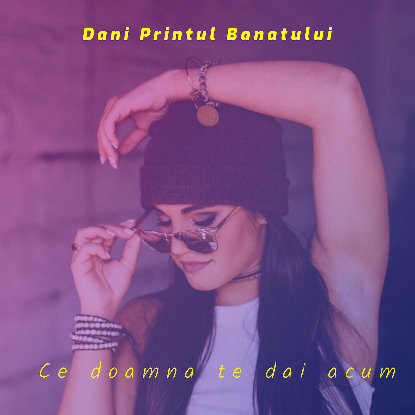 Dani Printul Banatului - Ce Doamna Te Dai Acum
