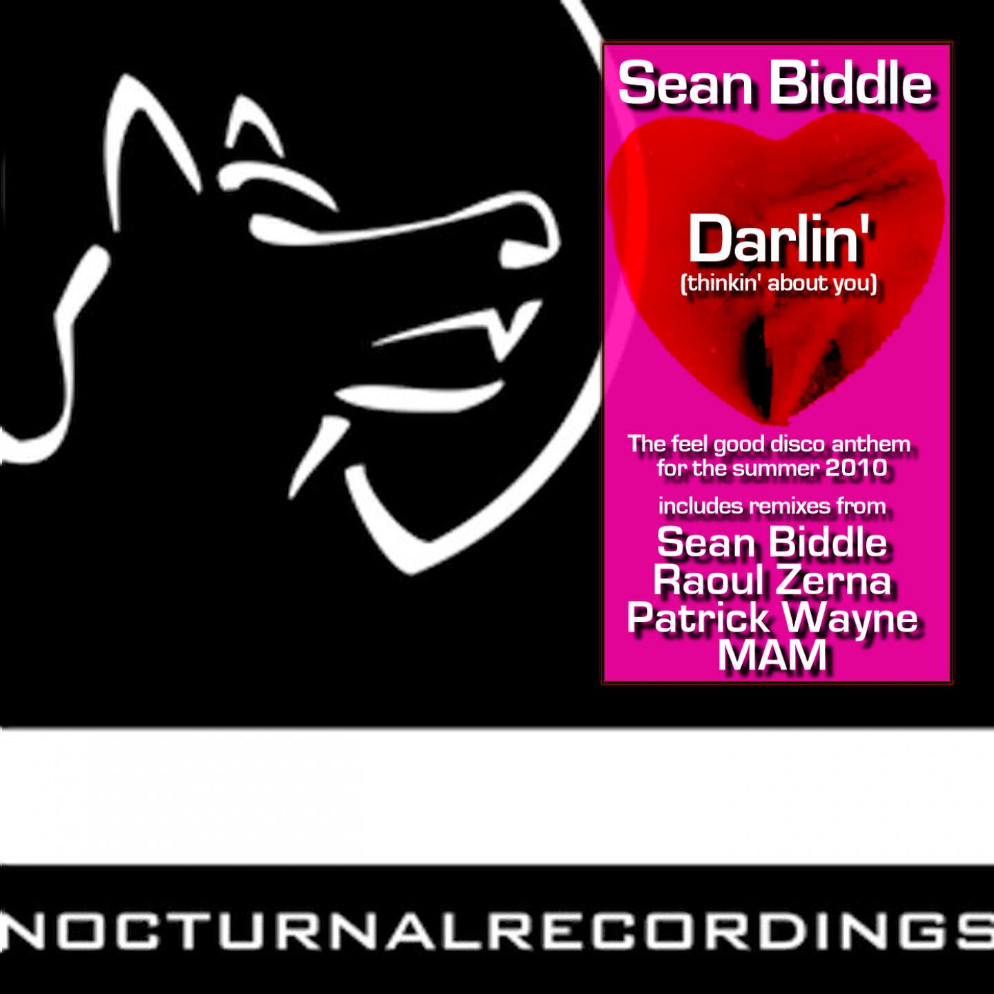 Sean Biddle - Darlin' (Raoul Zerna Remix)