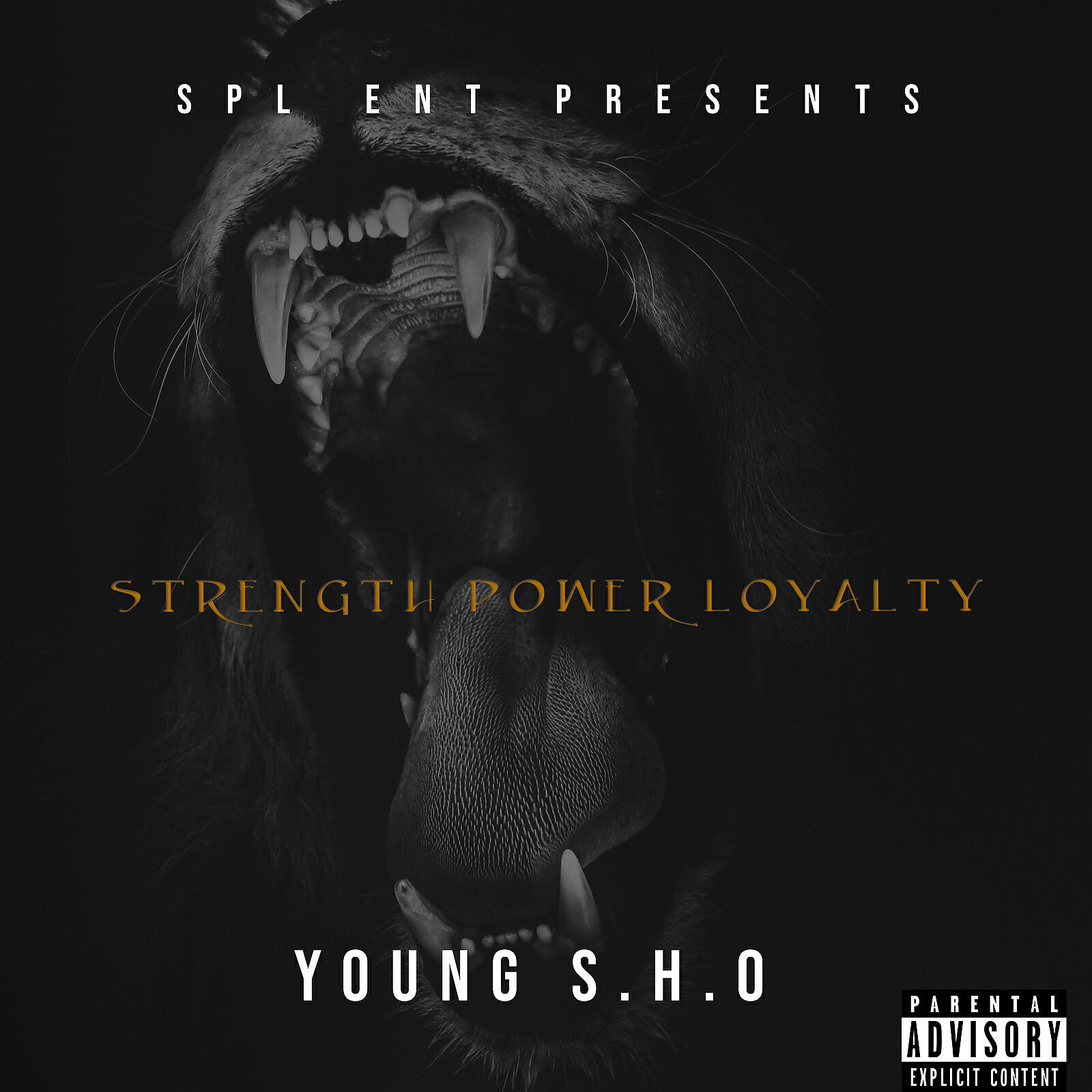 Young S.H.O - More Cash Than You Done Had (feat. Sauce Walka)