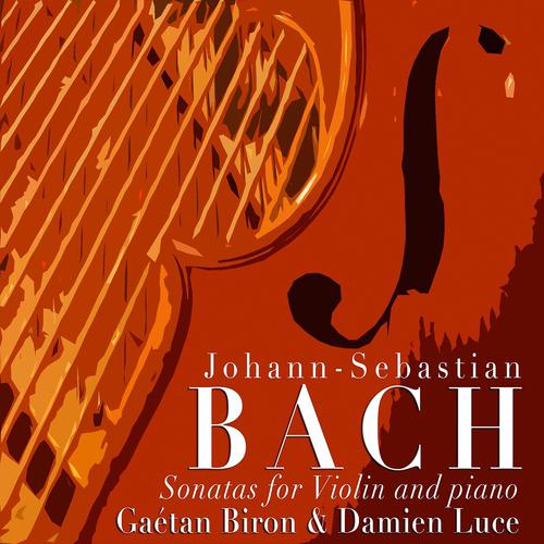 Постер альбома Sonatas for Violin and Piano