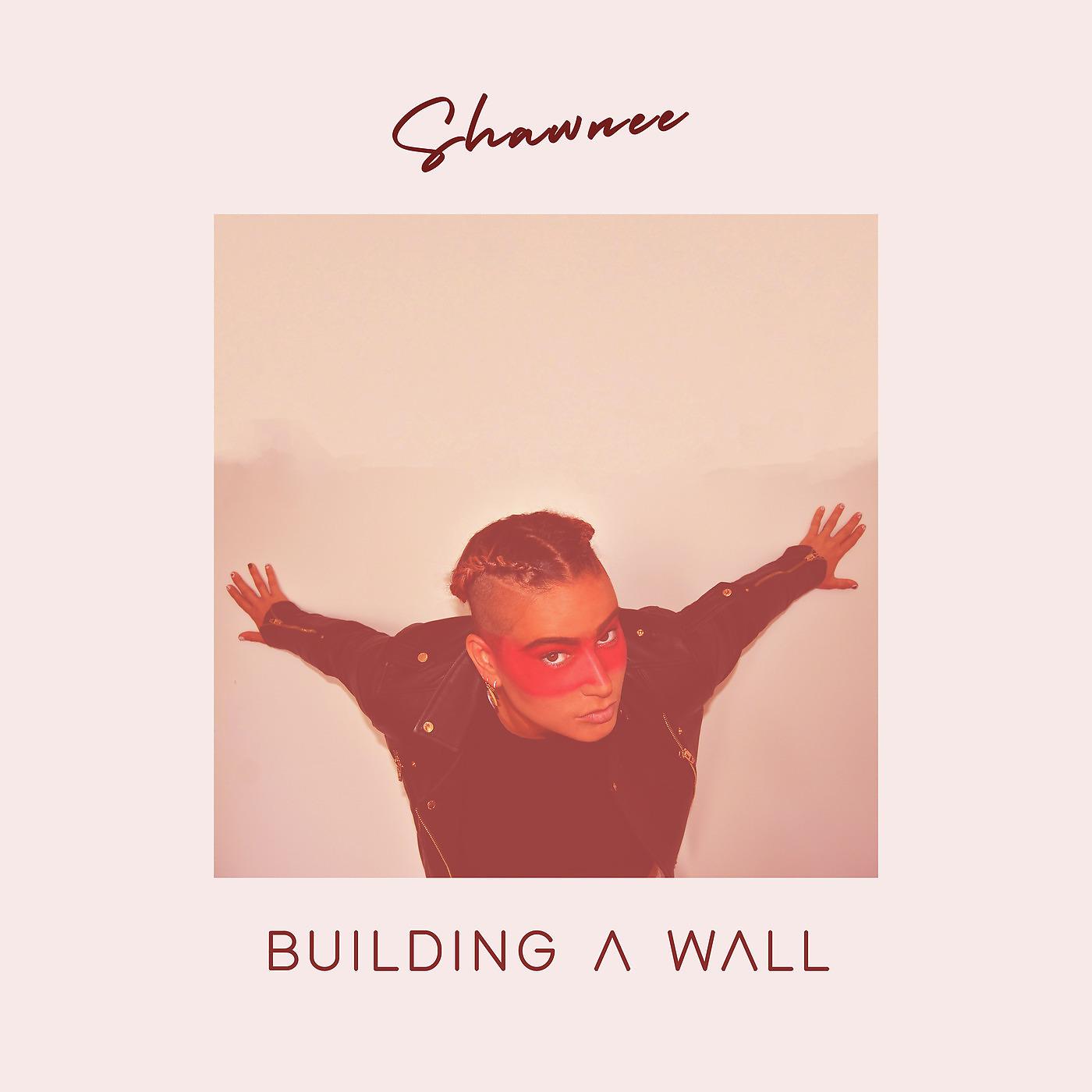 Постер альбома Building a Wall