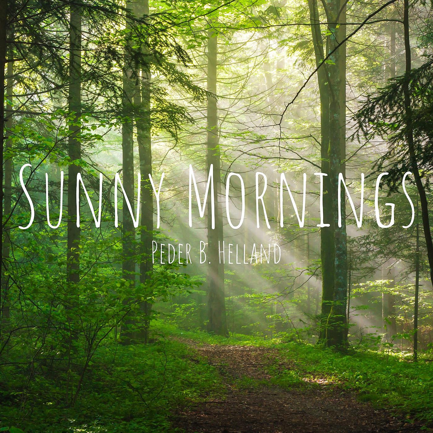 Постер альбома Sunny Mornings