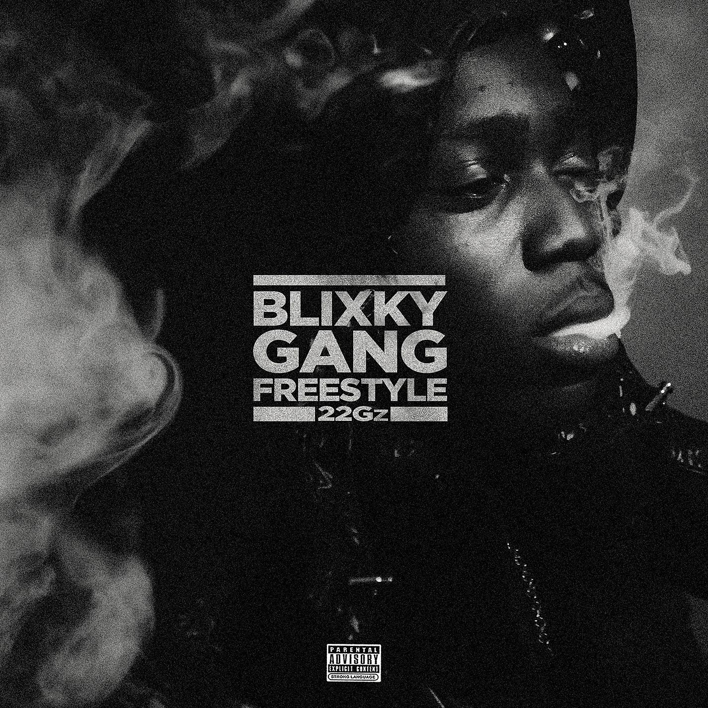 Постер альбома Blixky Gang Freestyle