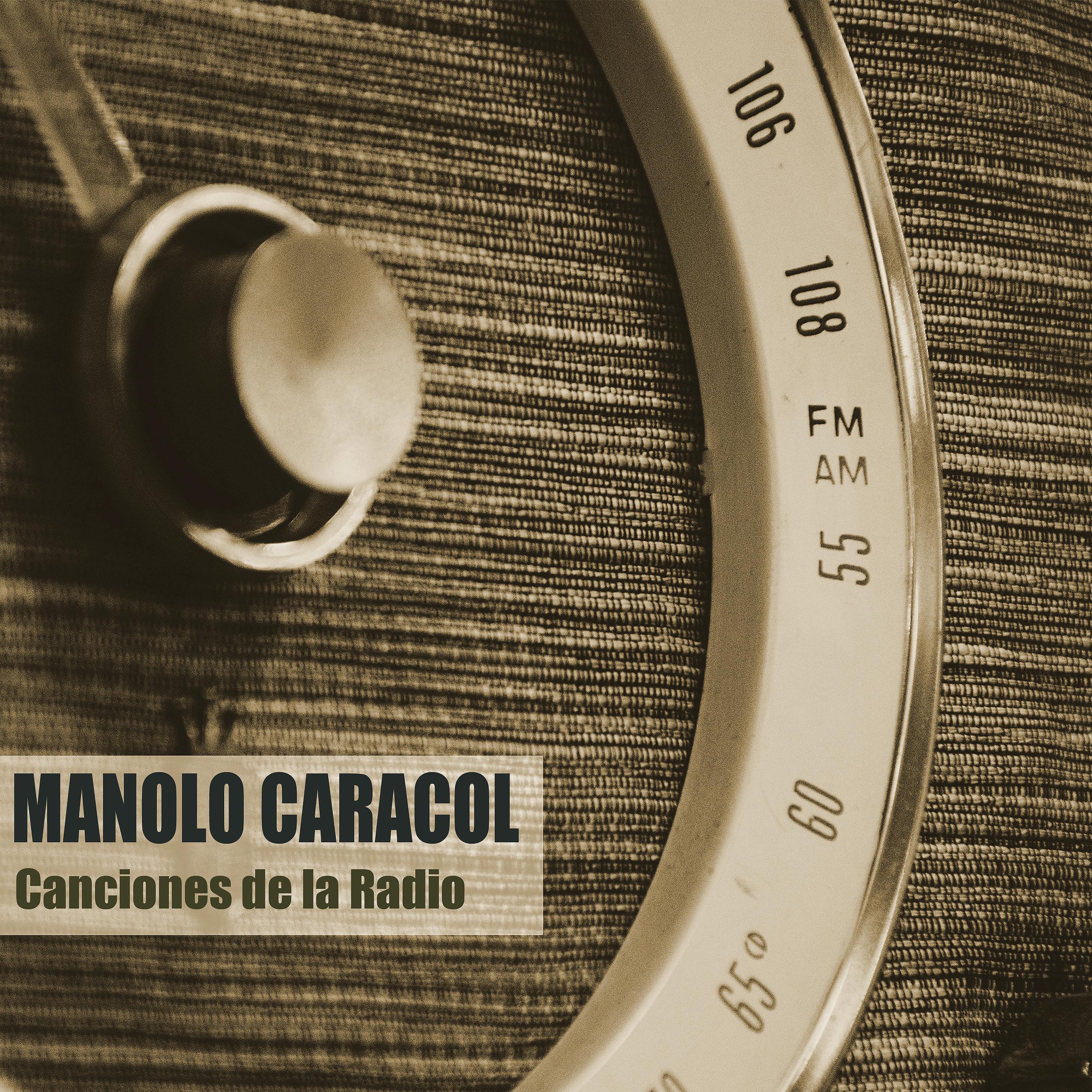 Постер альбома Canciones de la Radio