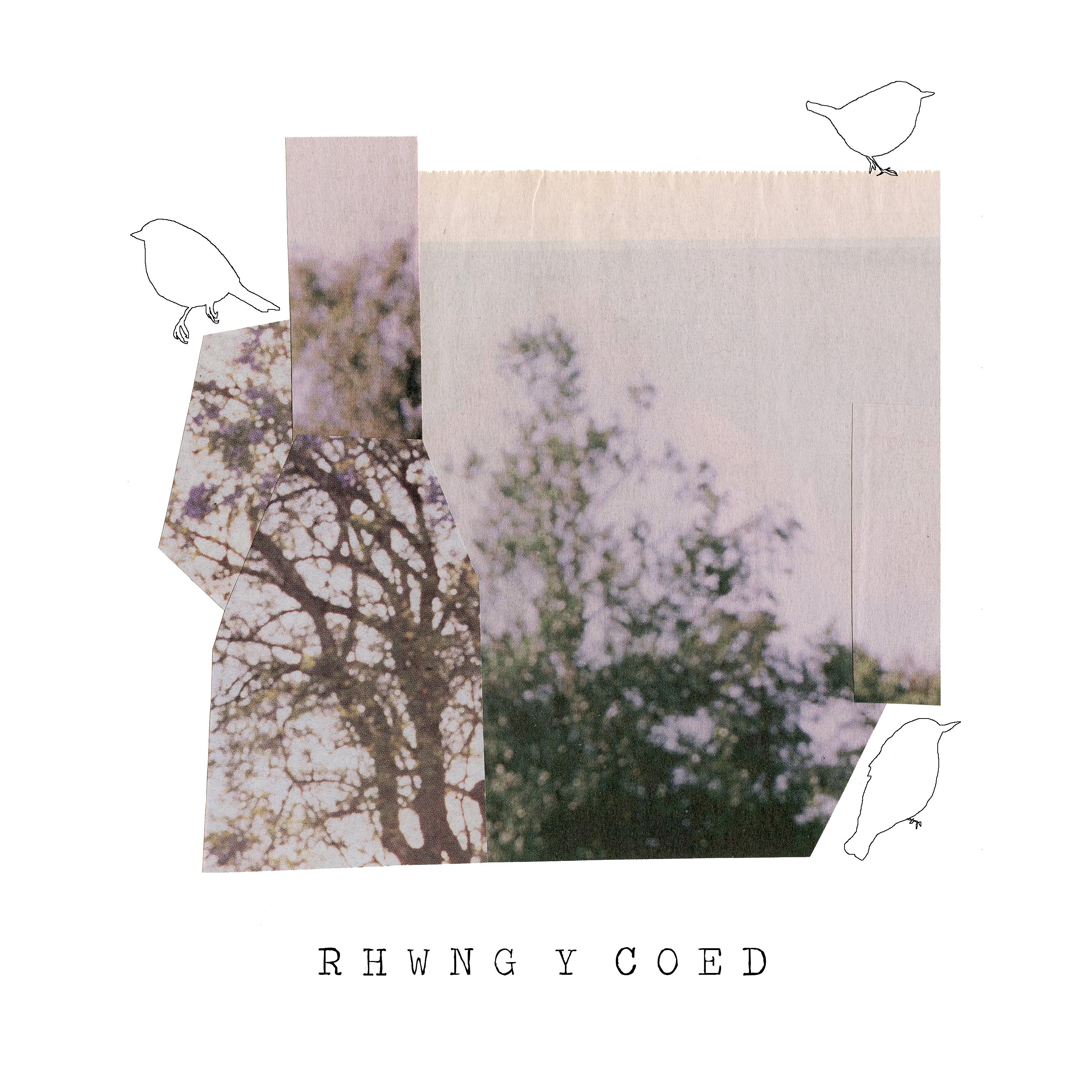 Постер альбома Rhwng Y Coed
