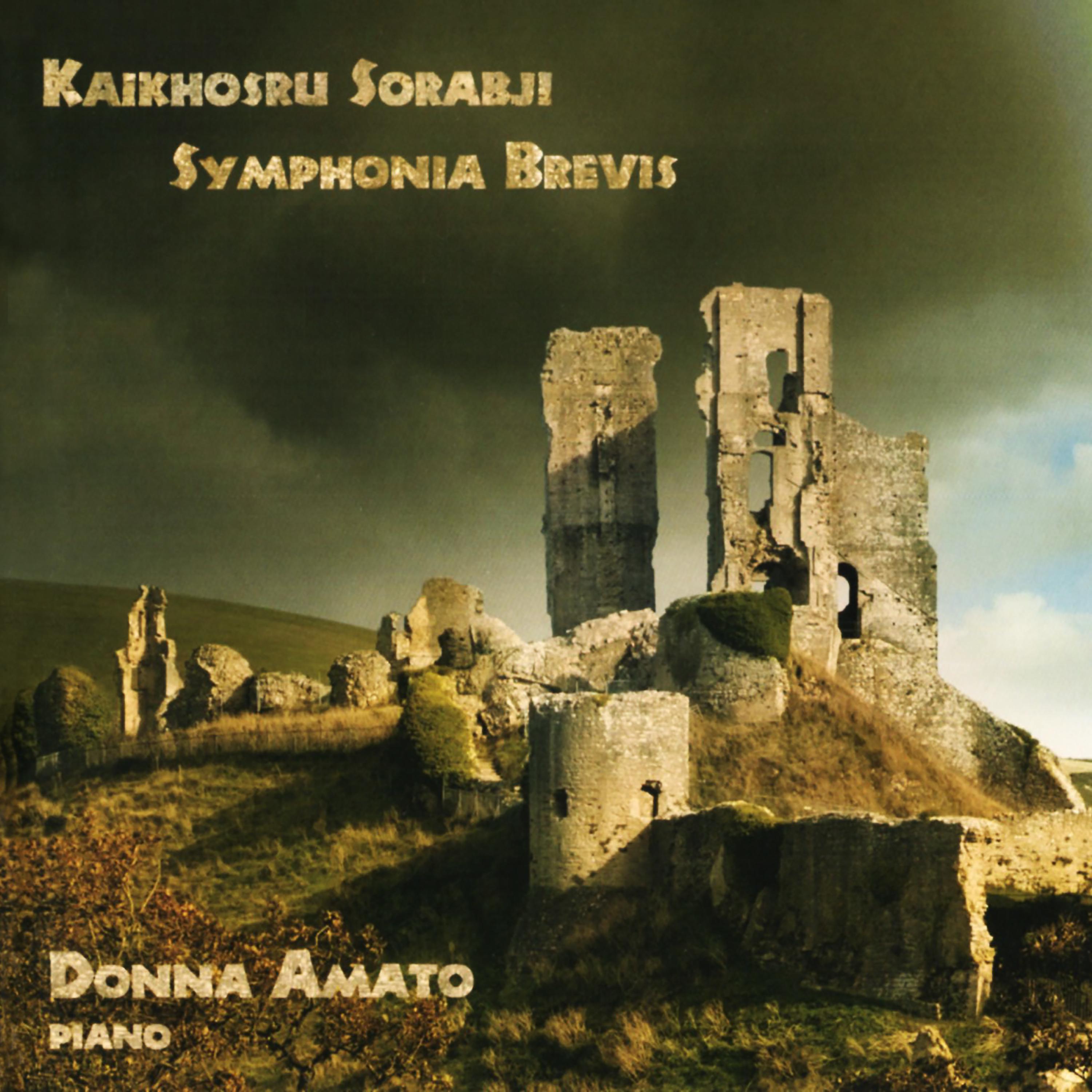 Постер альбома Sorabji: Symphonia Brevis