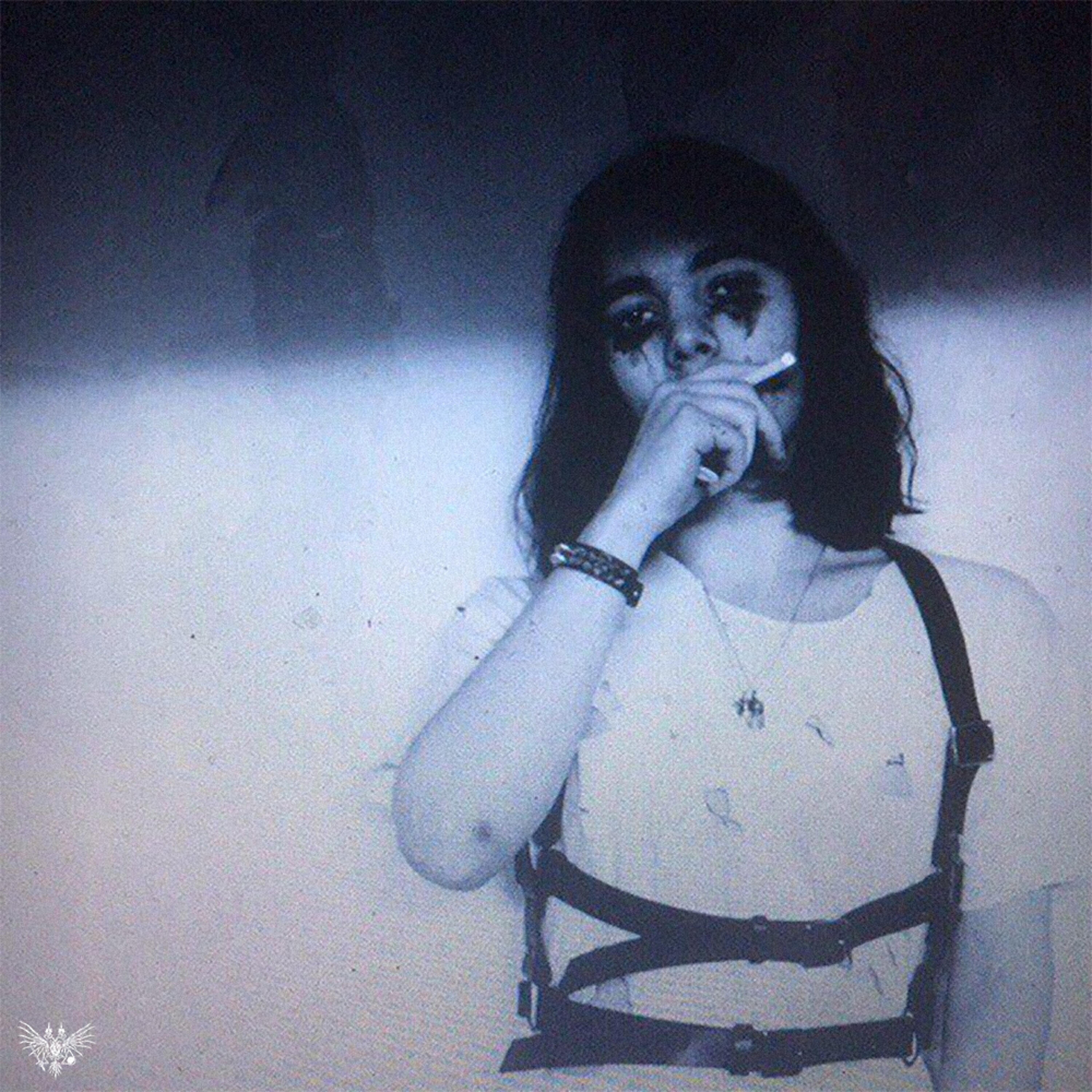 White Punk - Transylvania