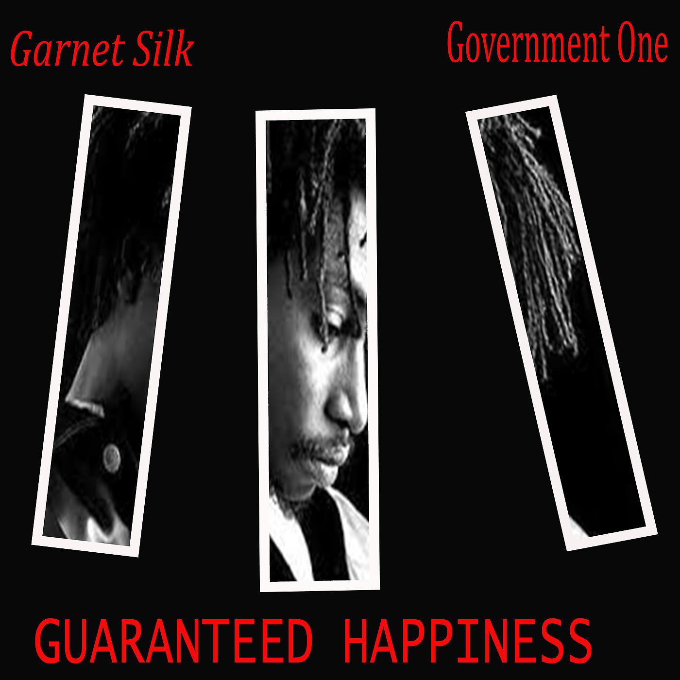Постер альбома Guaranteed Happiness