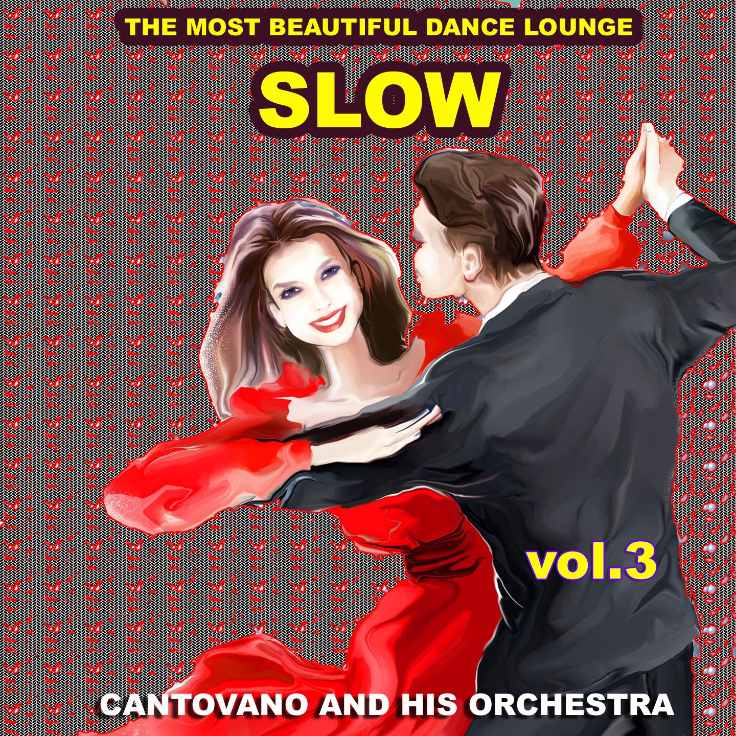 Постер альбома Slow : The Most Beautiful Dance Lounge, Vol.3