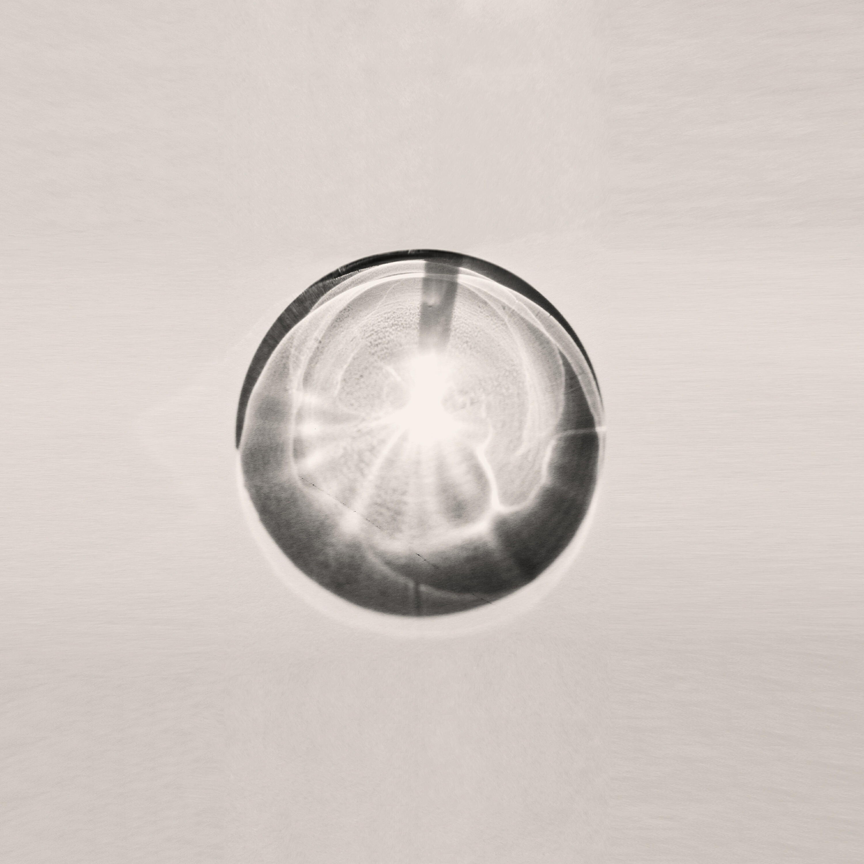 London Sinfonietta - Pètals. I. The longest winter night:…
