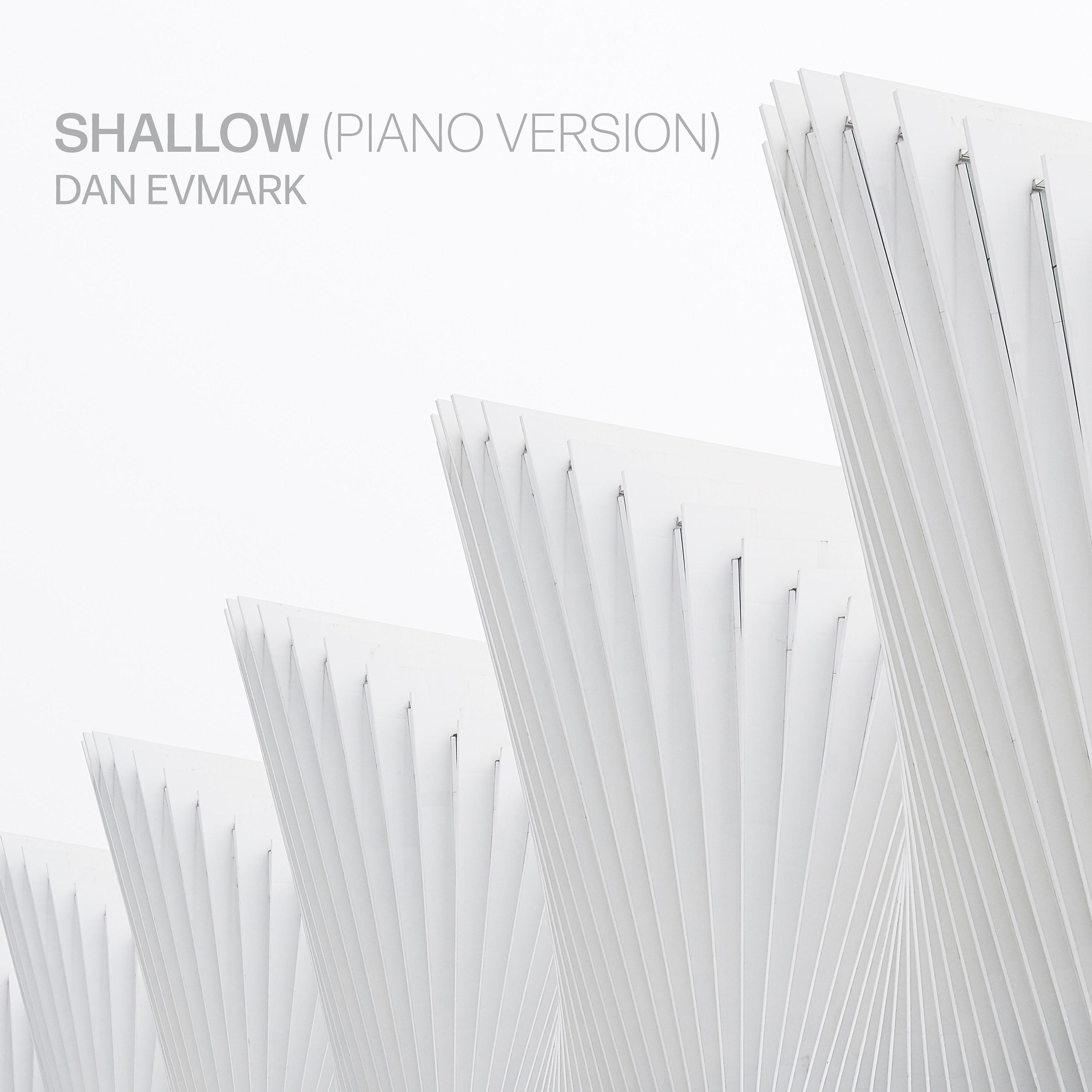 Постер альбома Shallow (Piano Version)