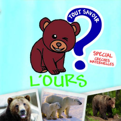 Постер альбома Tout savoir sur l'ours