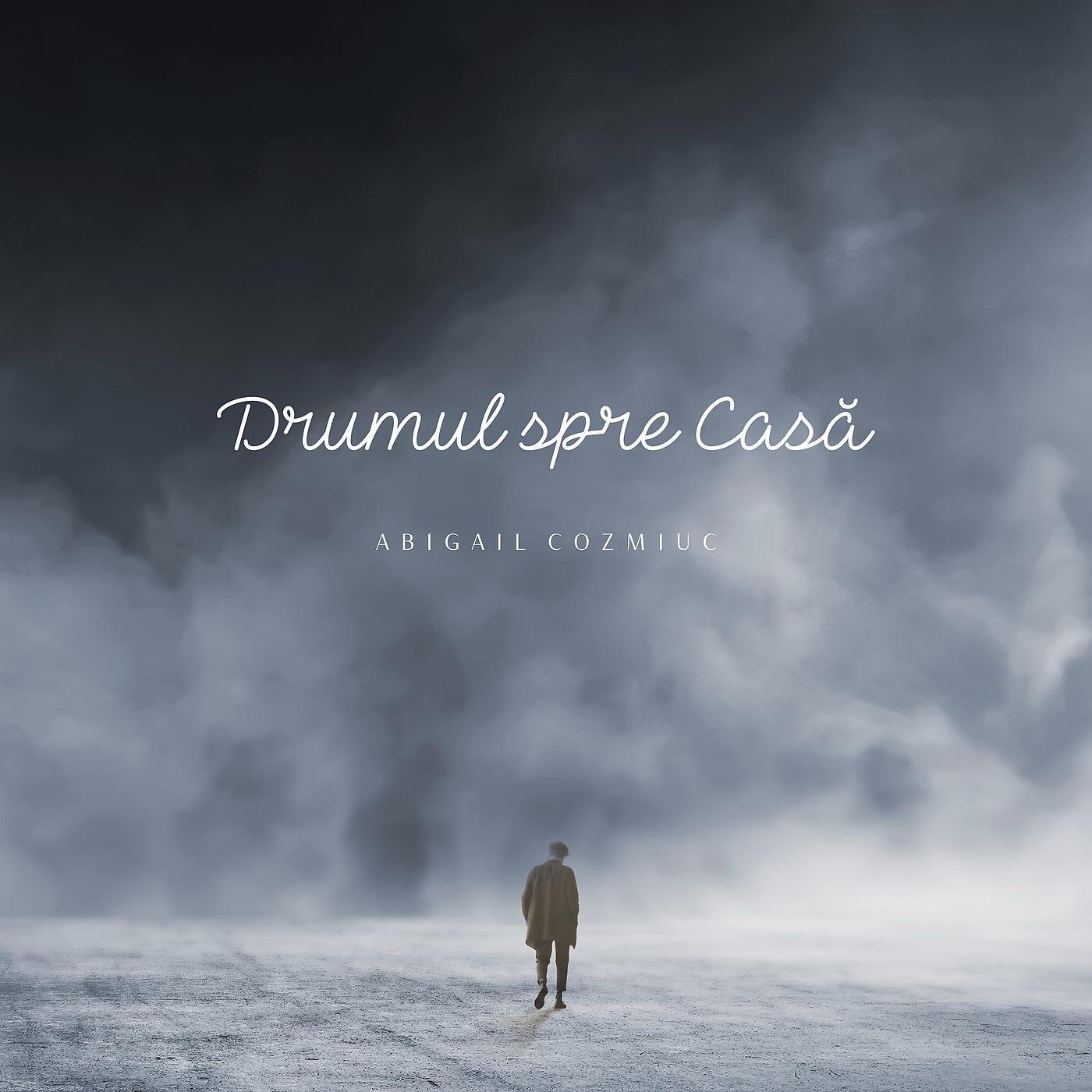 Постер альбома Drumul Spre Casă