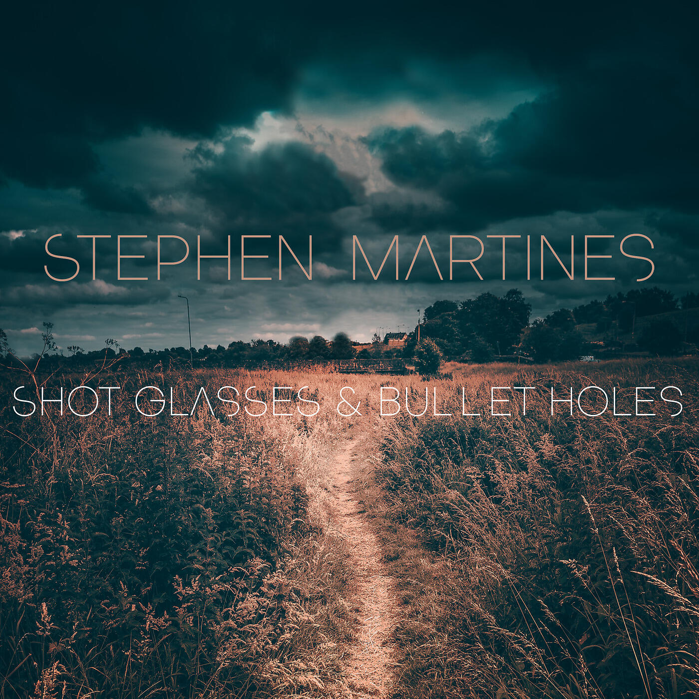 Stephen Martines - Shot Glasses & Bullet Holes