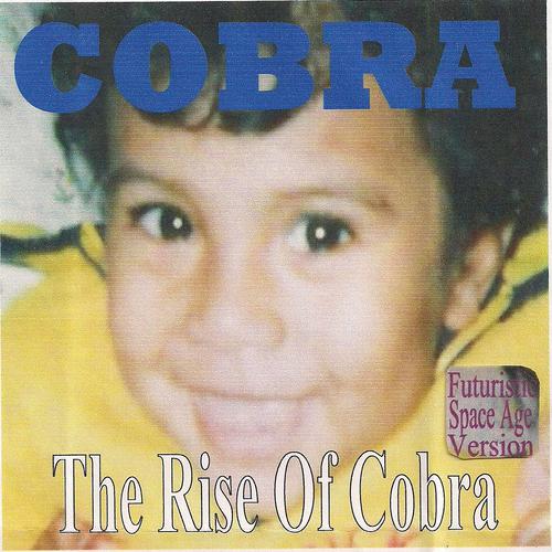 Постер альбома The Rise of Cobra