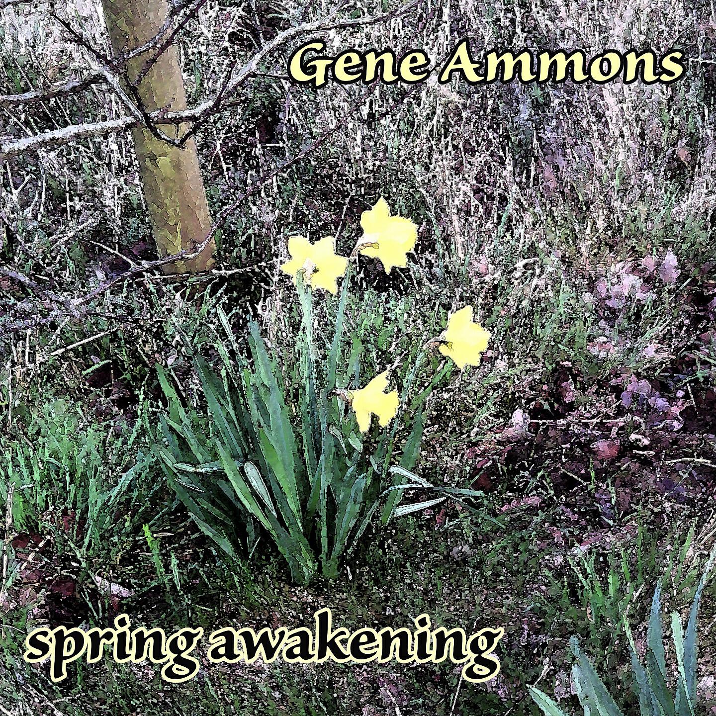 Gene Ammons - Confirmation