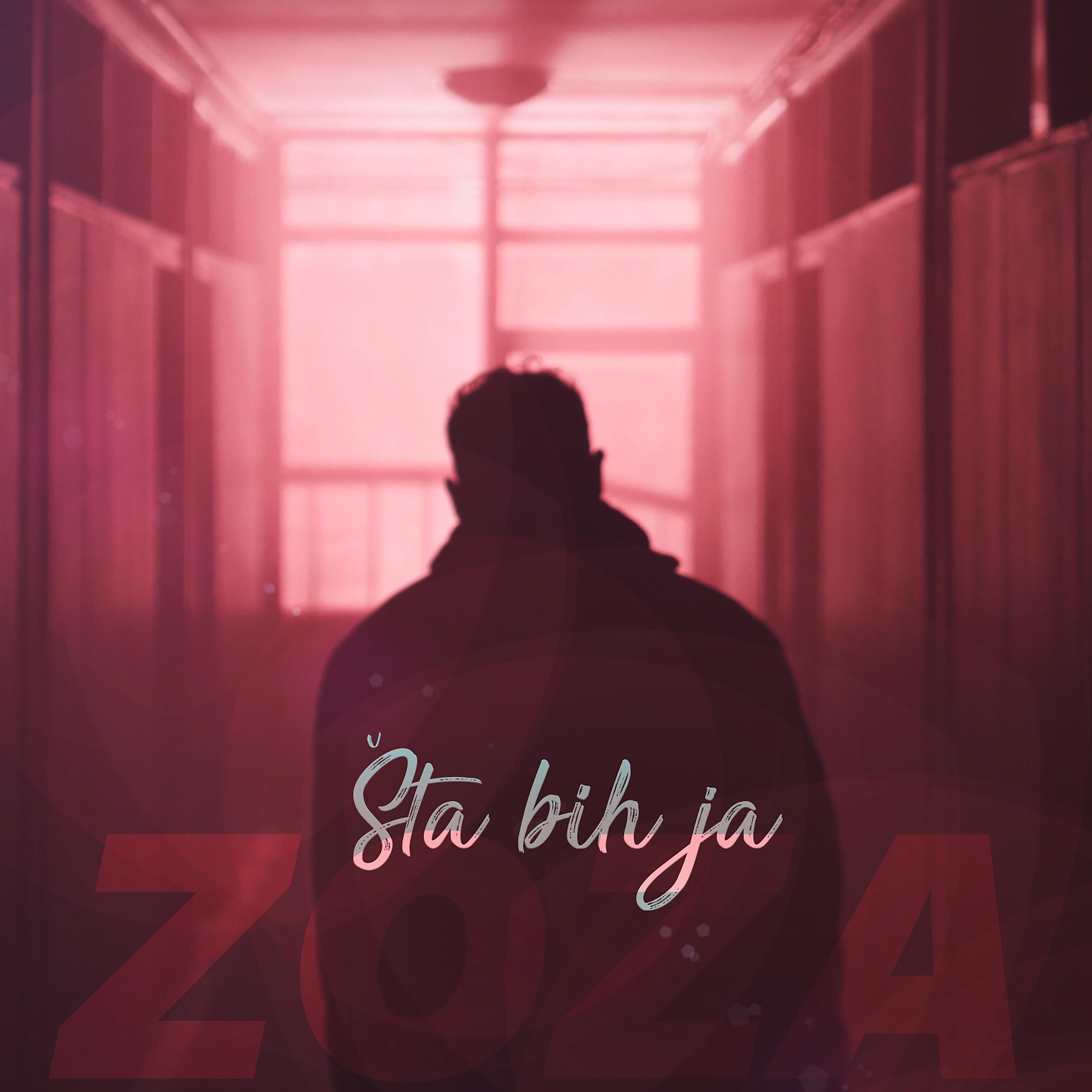 Постер альбома Šta bih ja