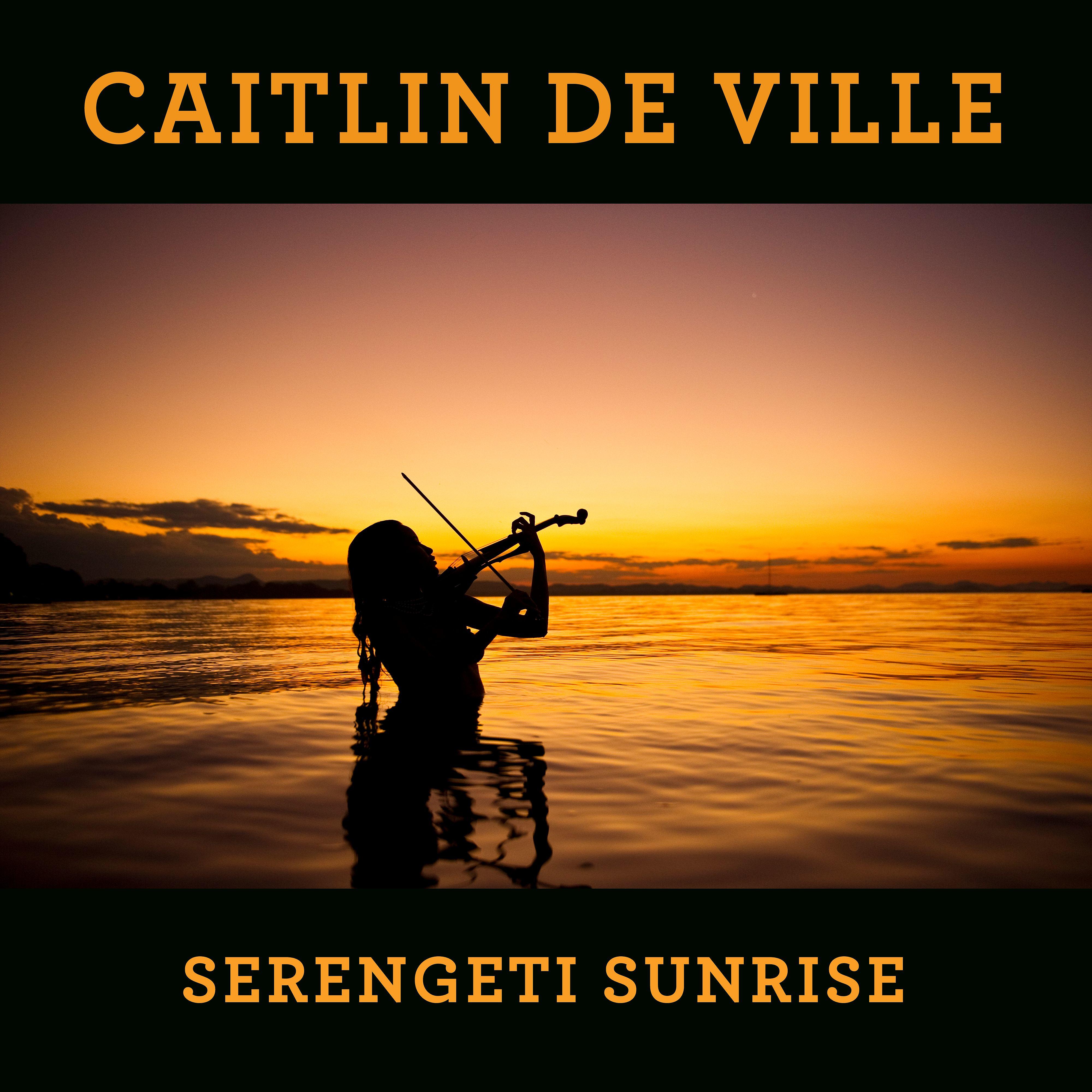 Постер альбома Serengeti Sunrise