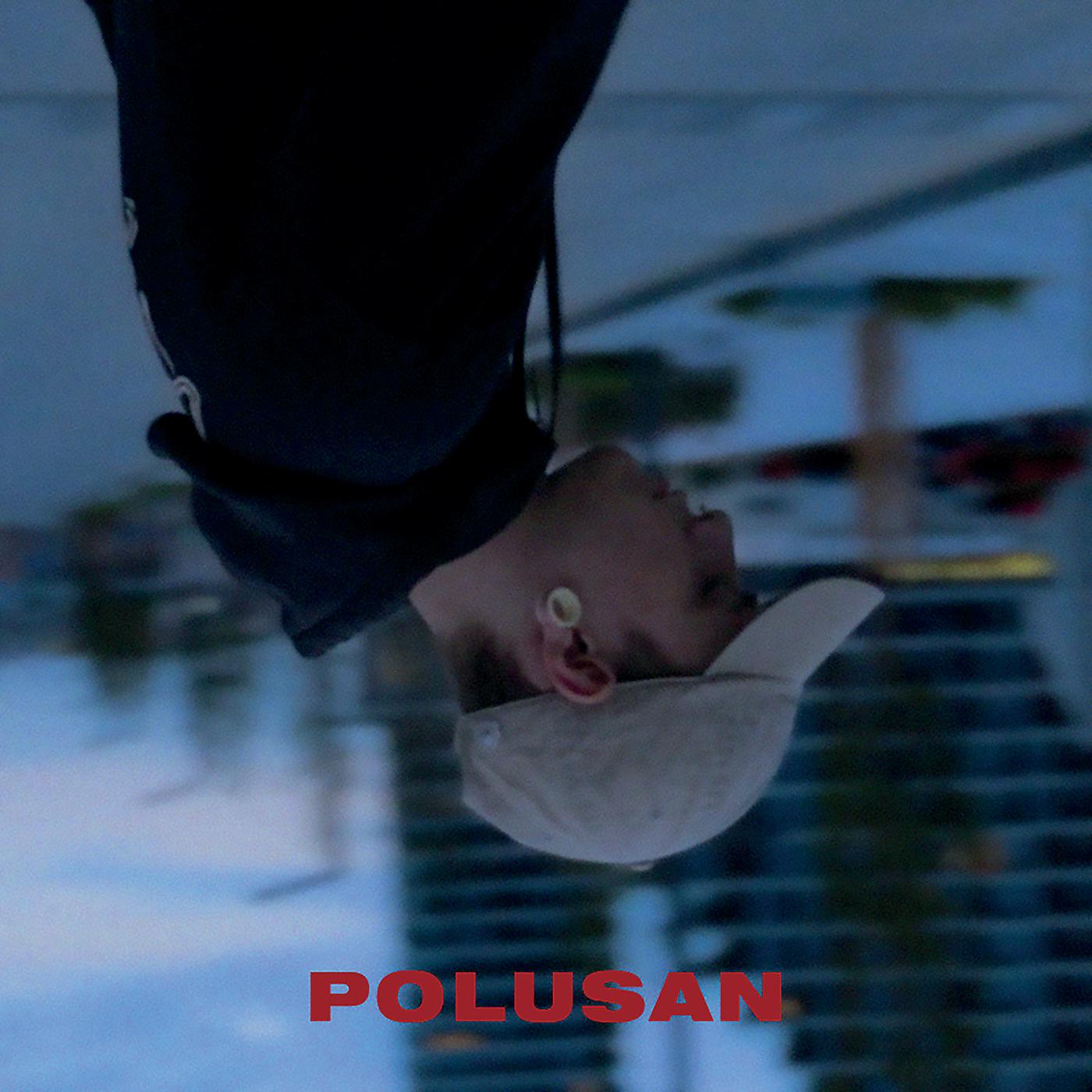 Постер альбома Polusan