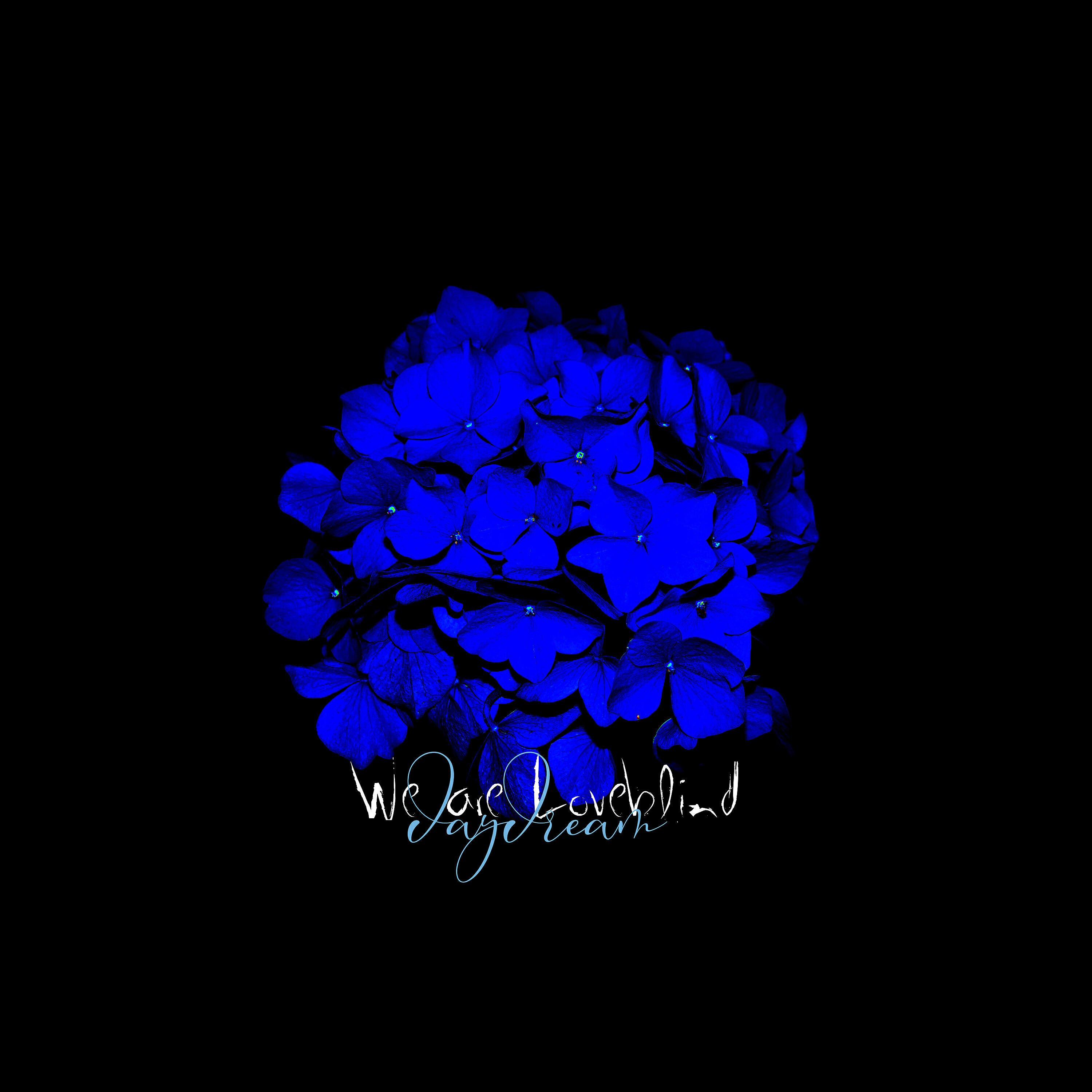 Loveblind - Daydream (Reality Mix)