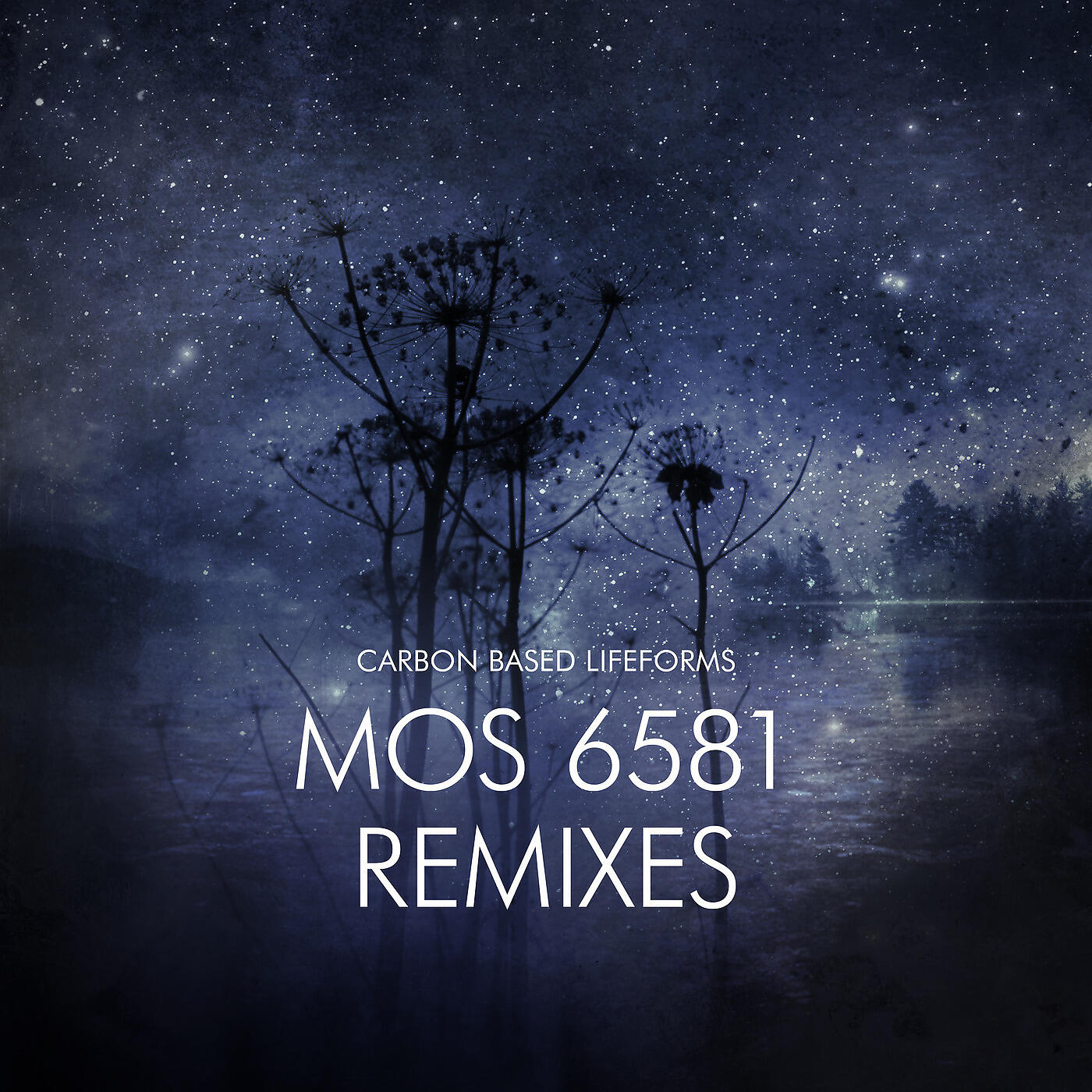 Carbon Based Lifeforms - Mos 6581 (Ajja Remix)