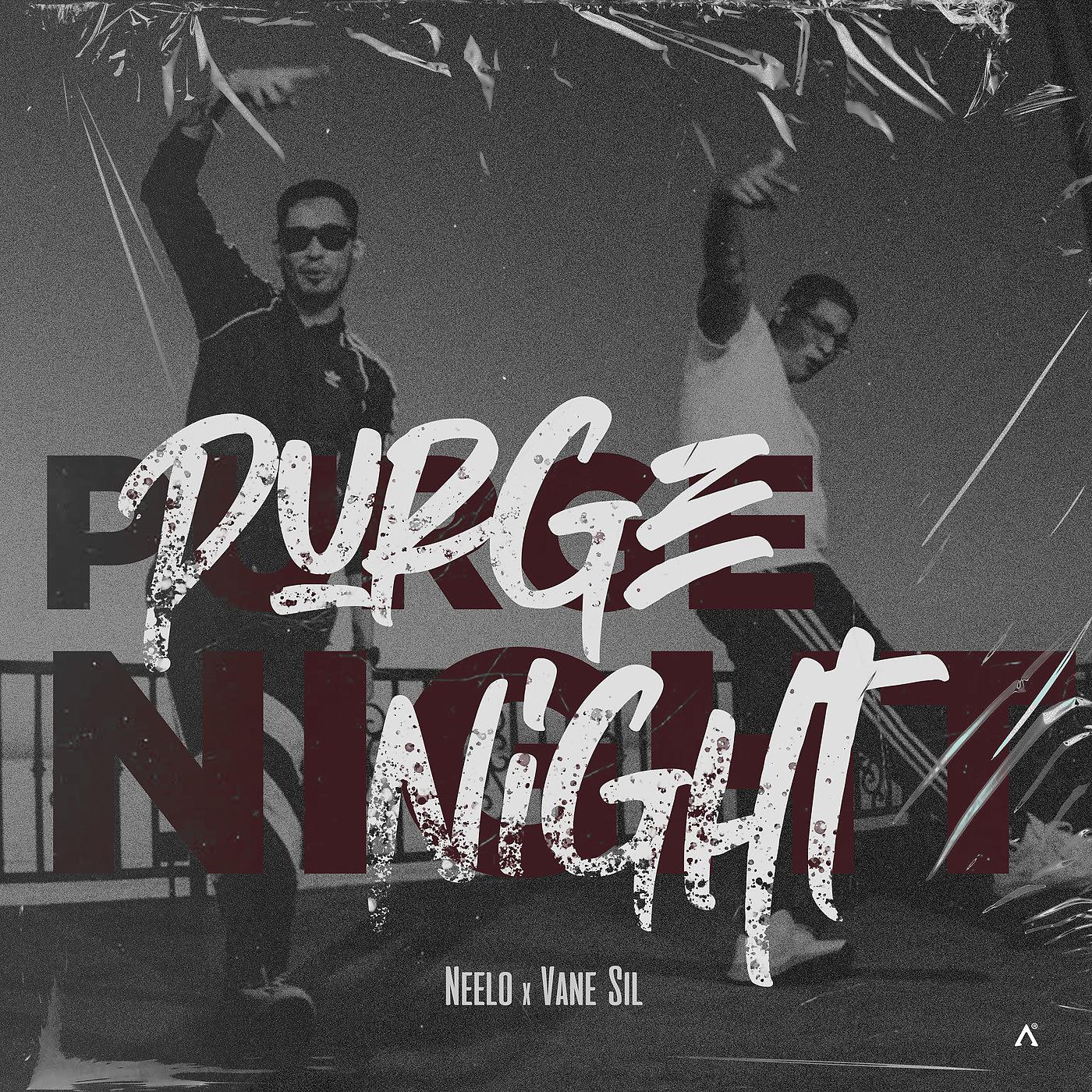 Постер альбома Purge Night
