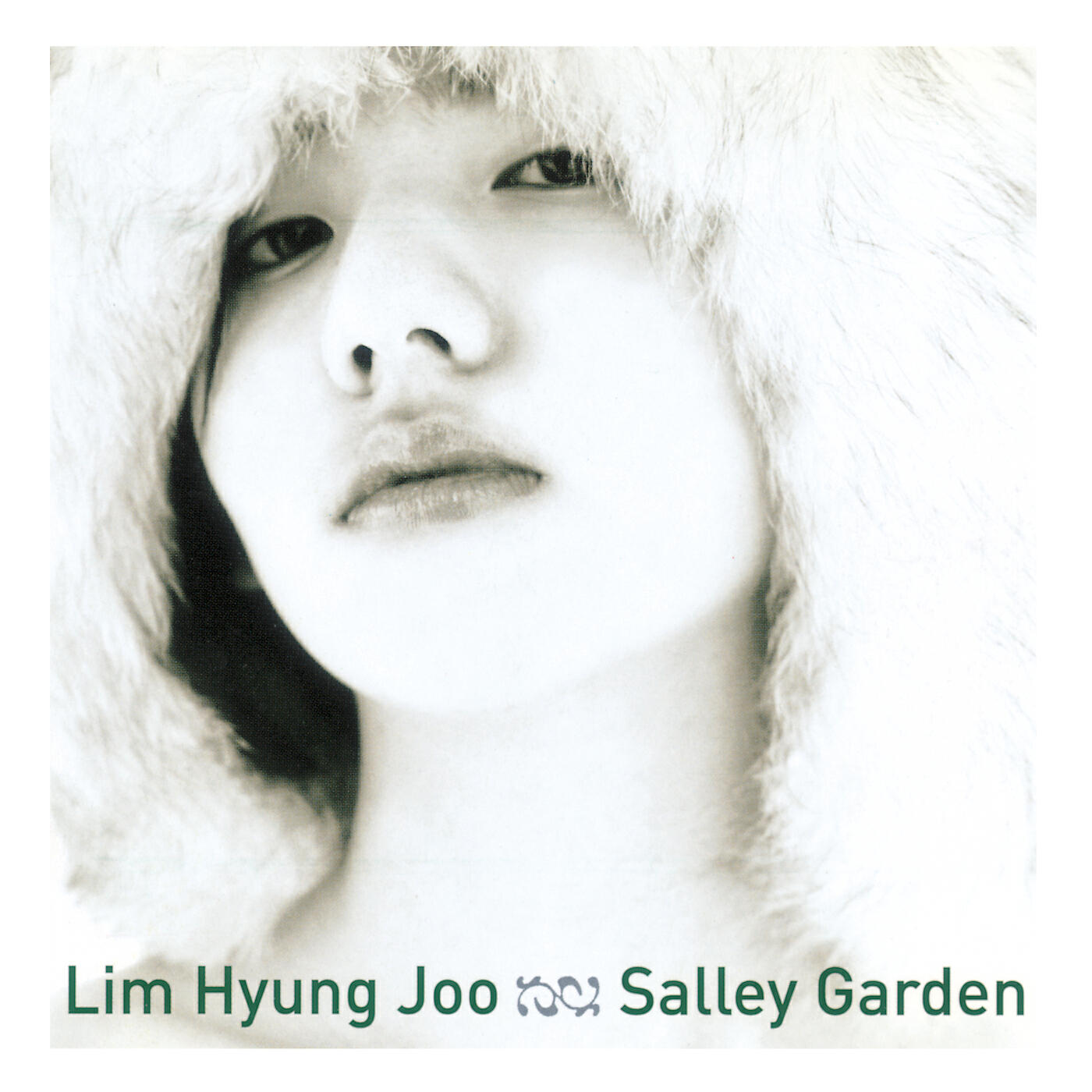 Hyung Joo Lim - Over The Rainbow