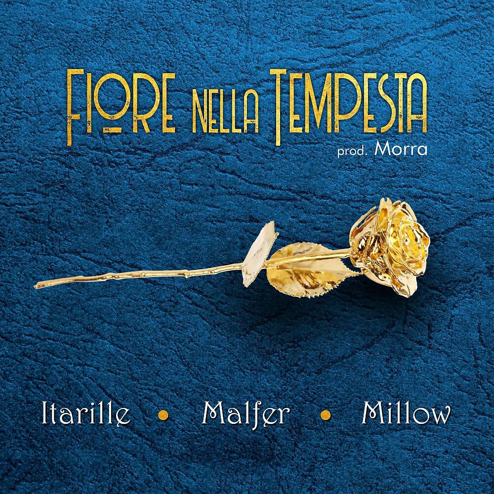 Malfer - Fiore nella tempesta