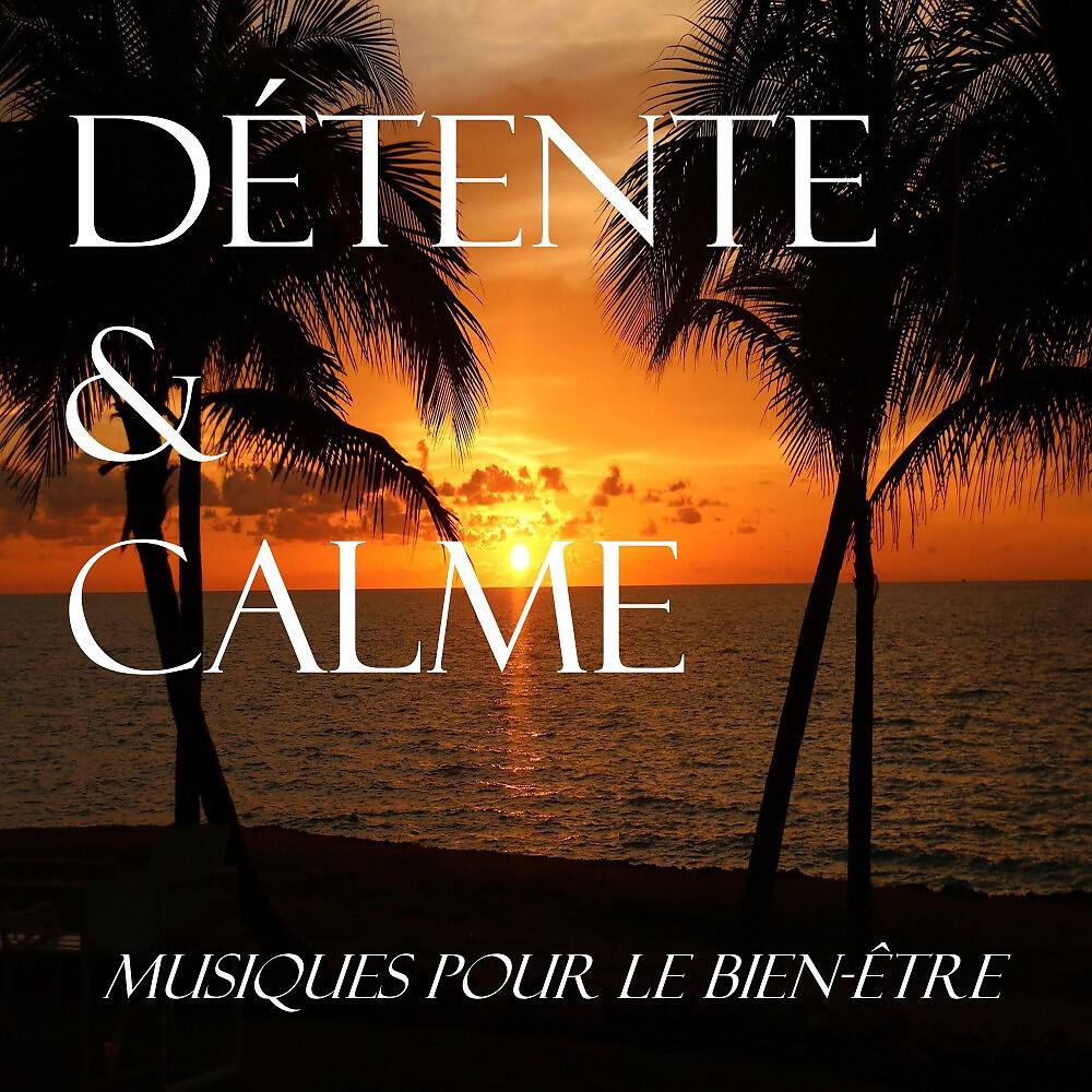 Musiques pour le bien-être - Concentration dans le calme