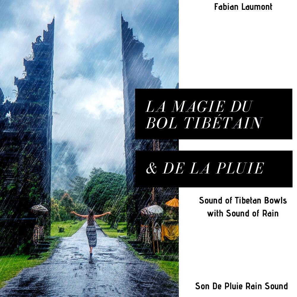 Son De pluie Rain Sound - Régénération Tibétaine (Rain Sound)