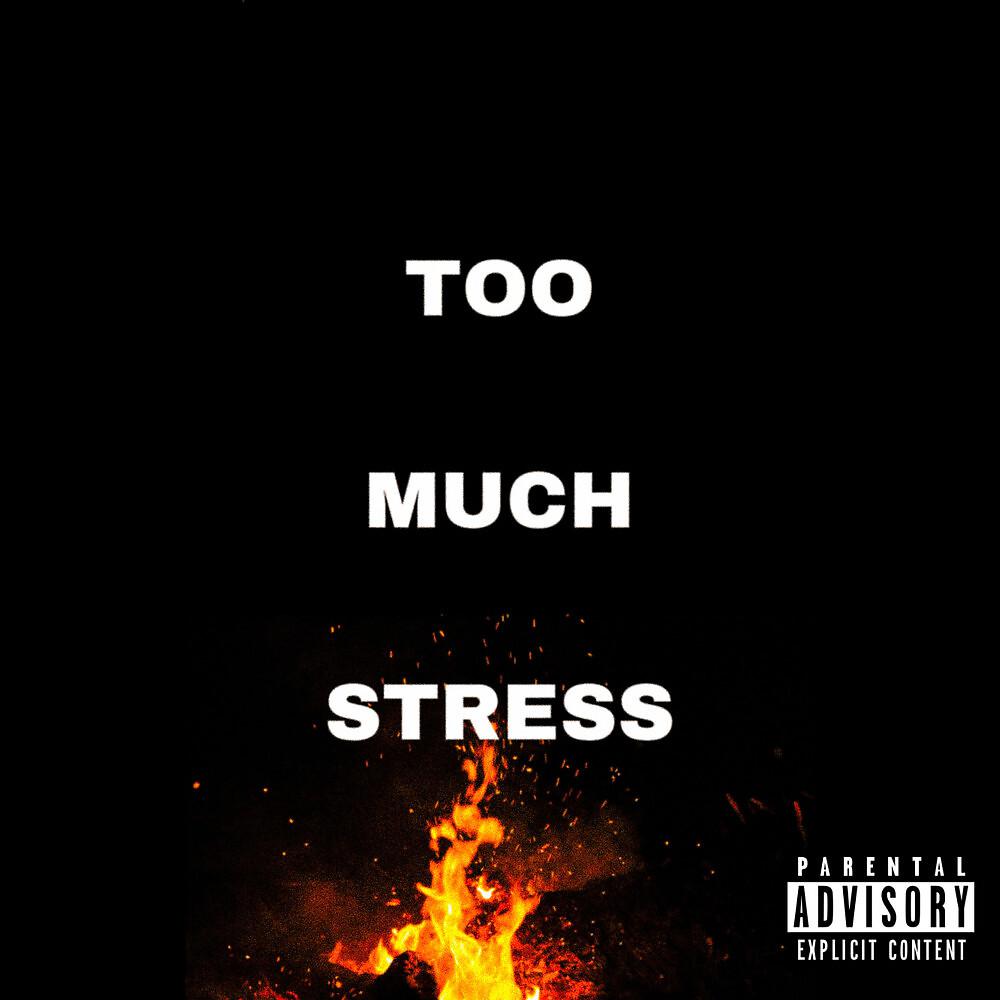 Постер альбома Too Much Stress