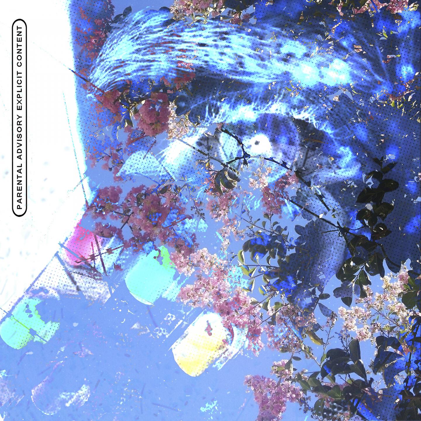 chels2ea - Dreamworks