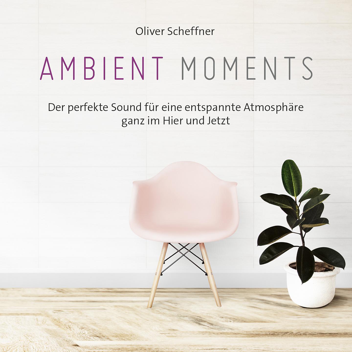 Постер альбома Ambient Moments