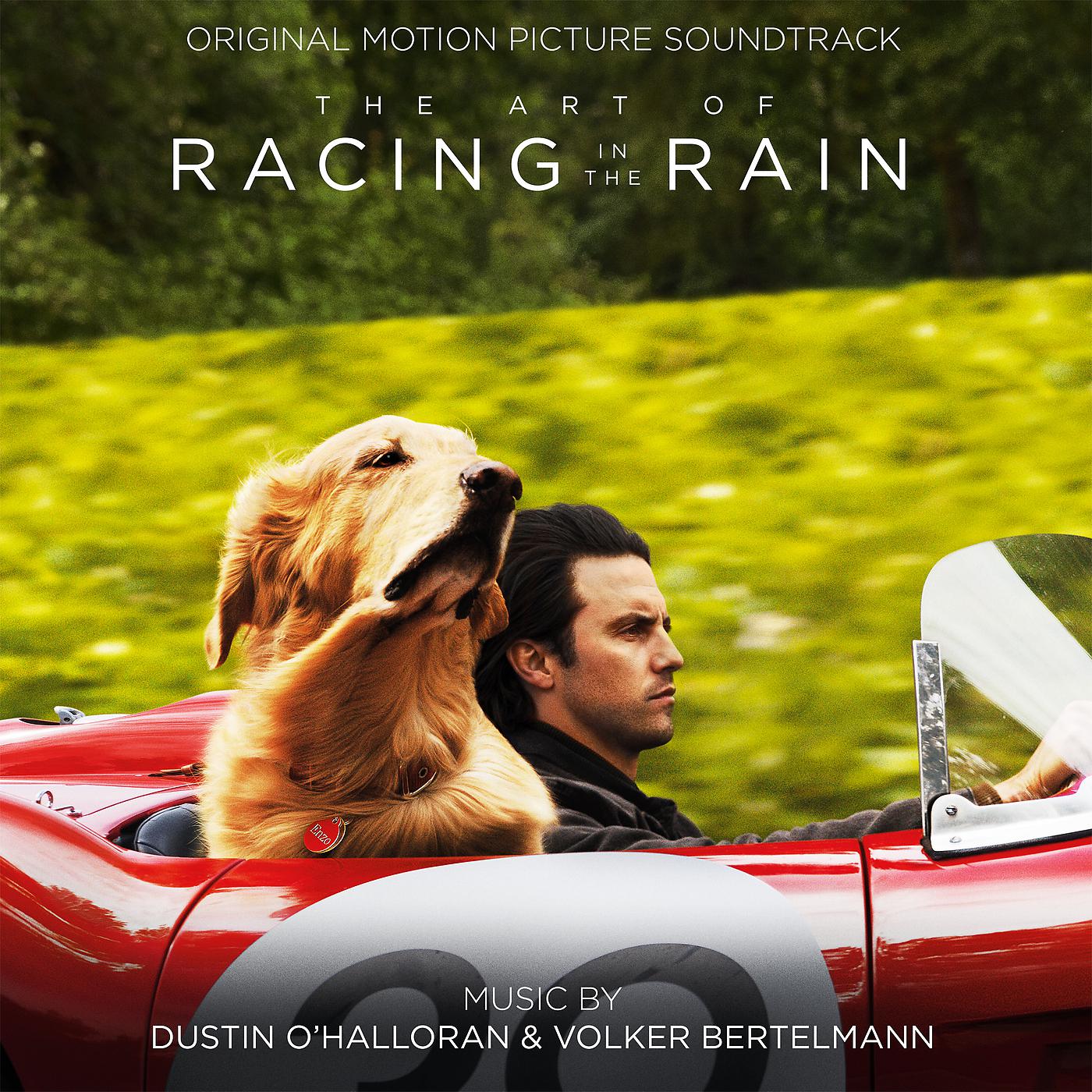 Постер альбома The Art of Racing in the Rain