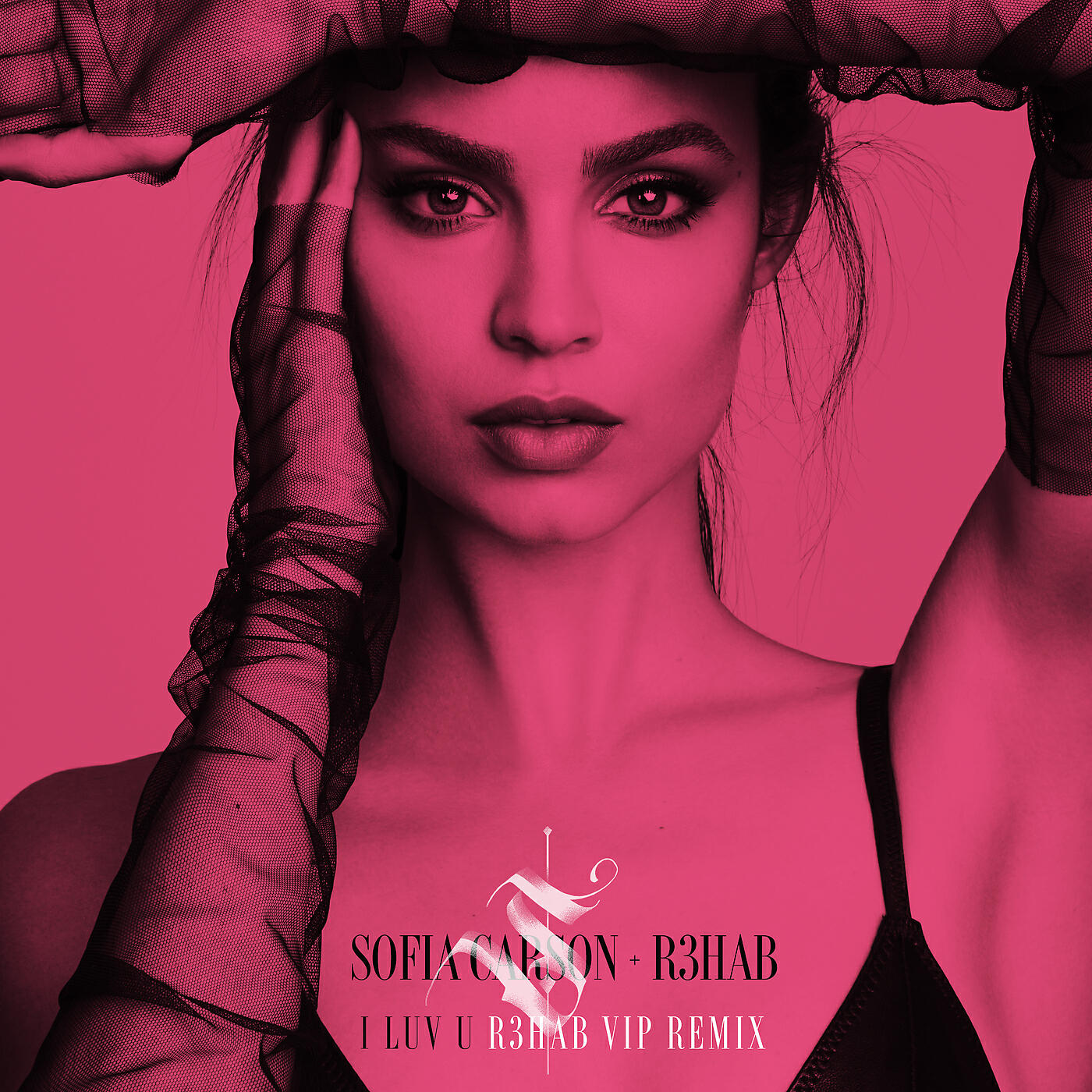Sofia Carson - I Luv U (R3HAB VIP Remix)