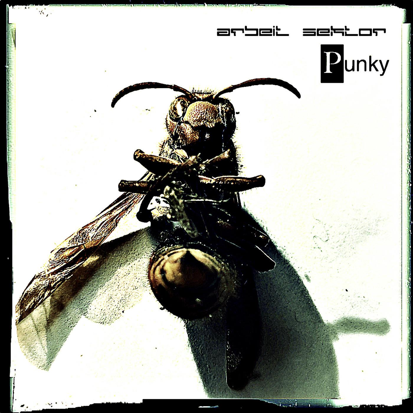Постер альбома Punky