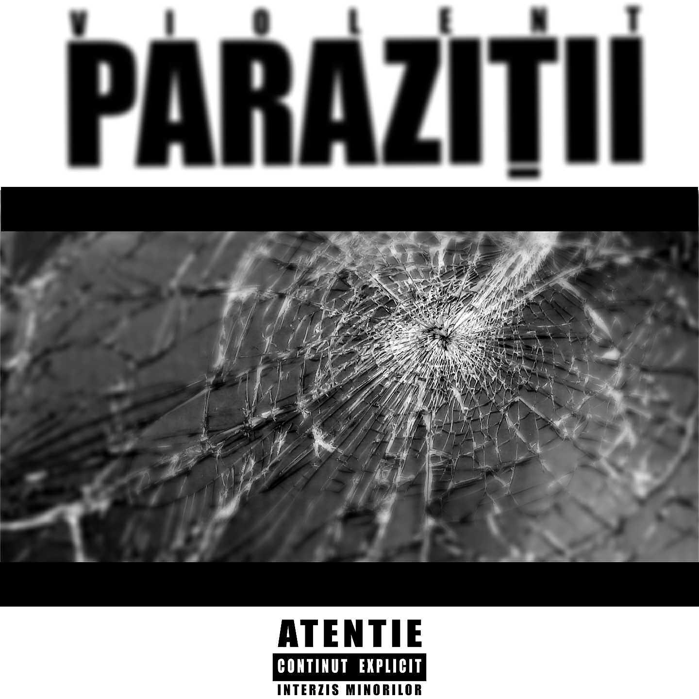 Parazitii - Violent (U.N.U In Fm Remix)