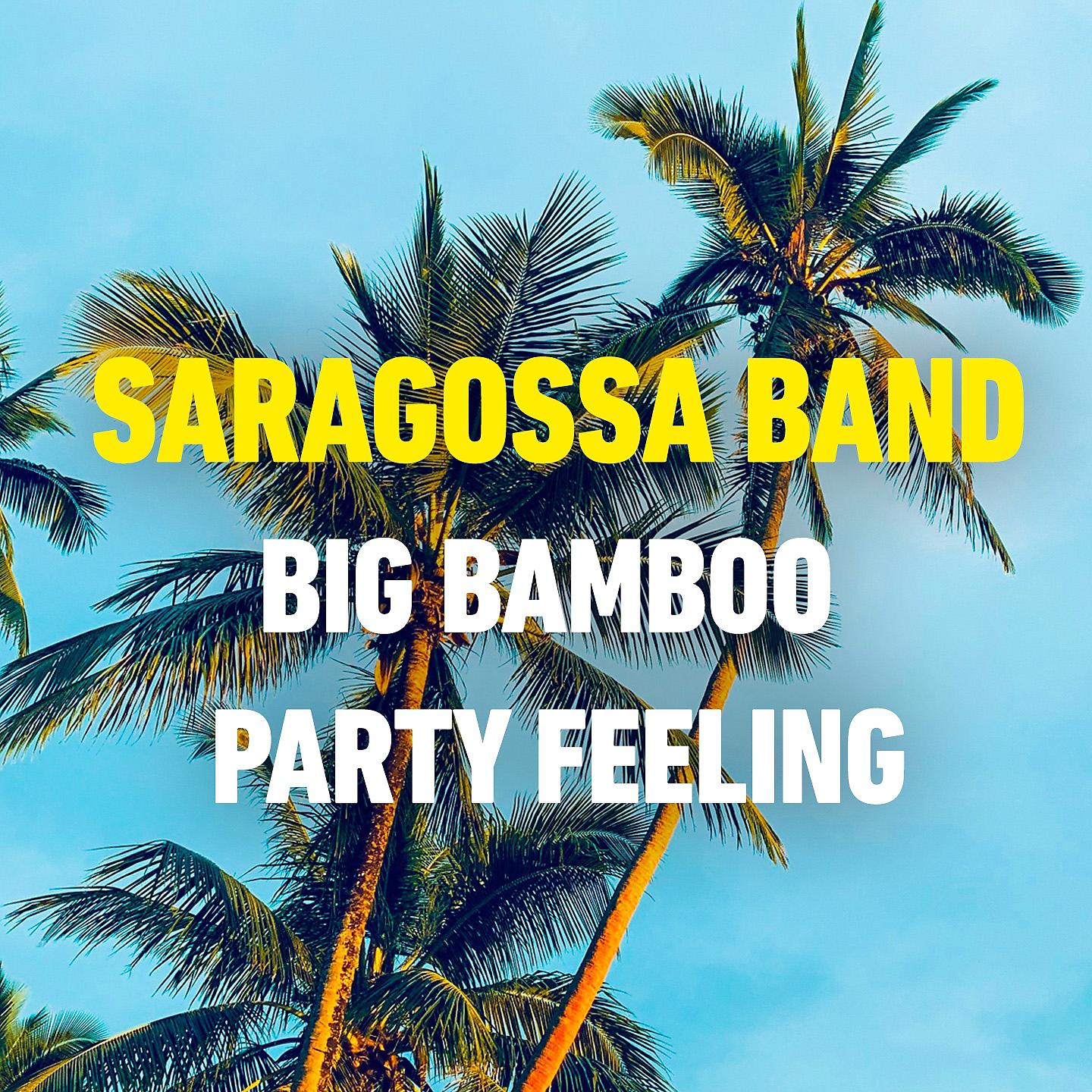 Постер альбома Big Bamboo - Party Feeling